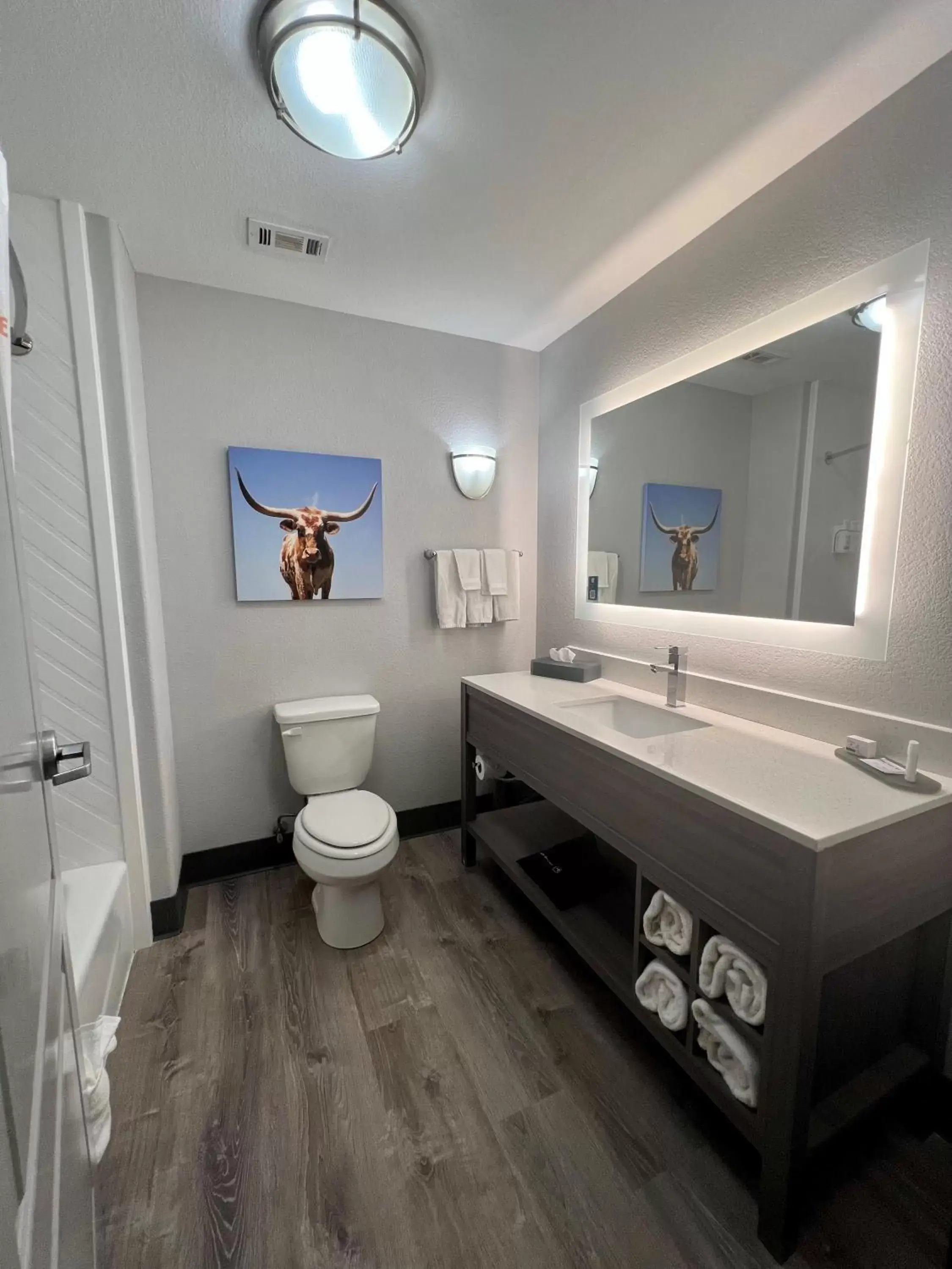 Bathroom in La Quinta by Wyndham Big Spring