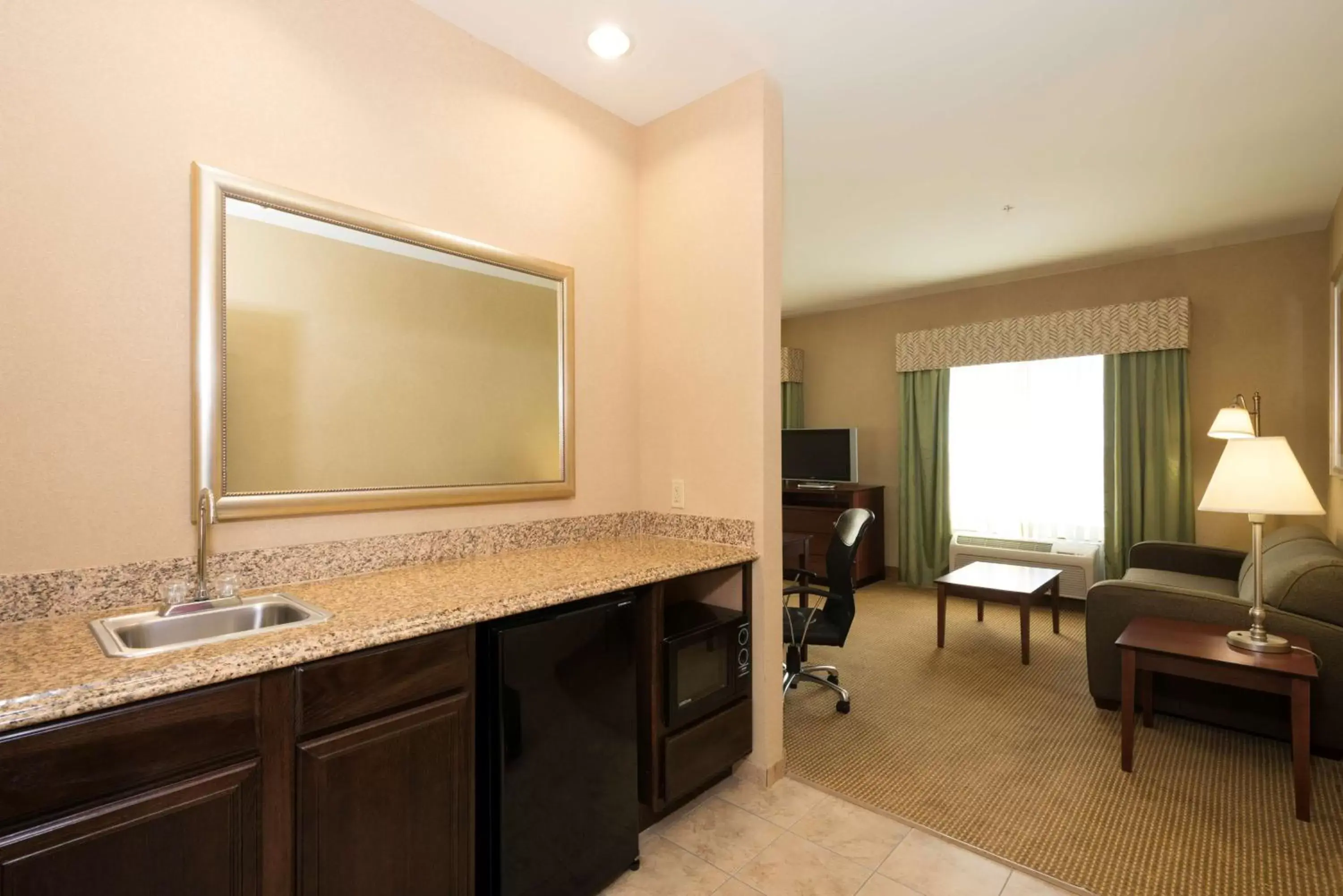 Kitchen or kitchenette, Bathroom in Hampton Inn & Suites Abilene I-20