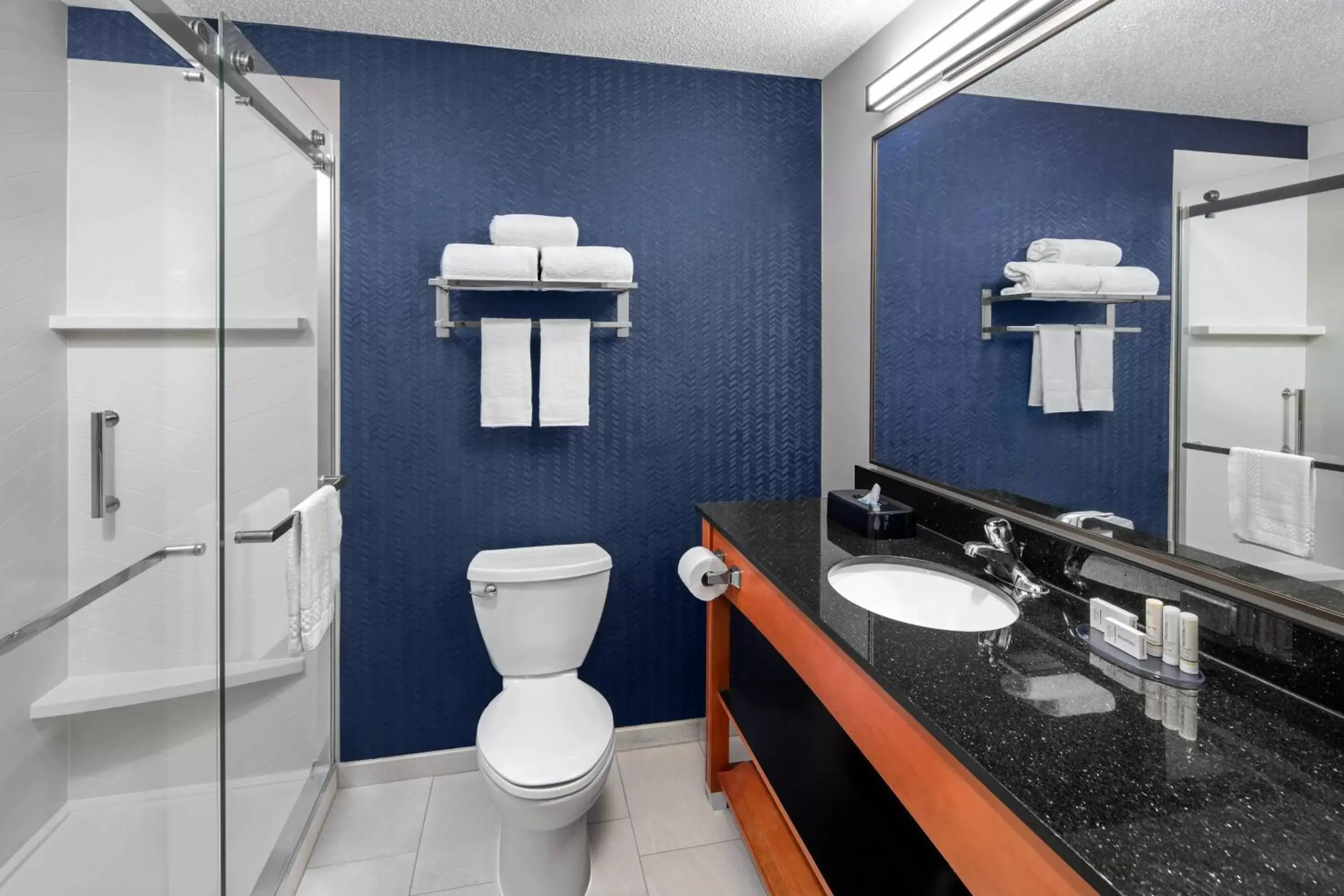 Bathroom in Fairfield Inn & Suites Denver Airport