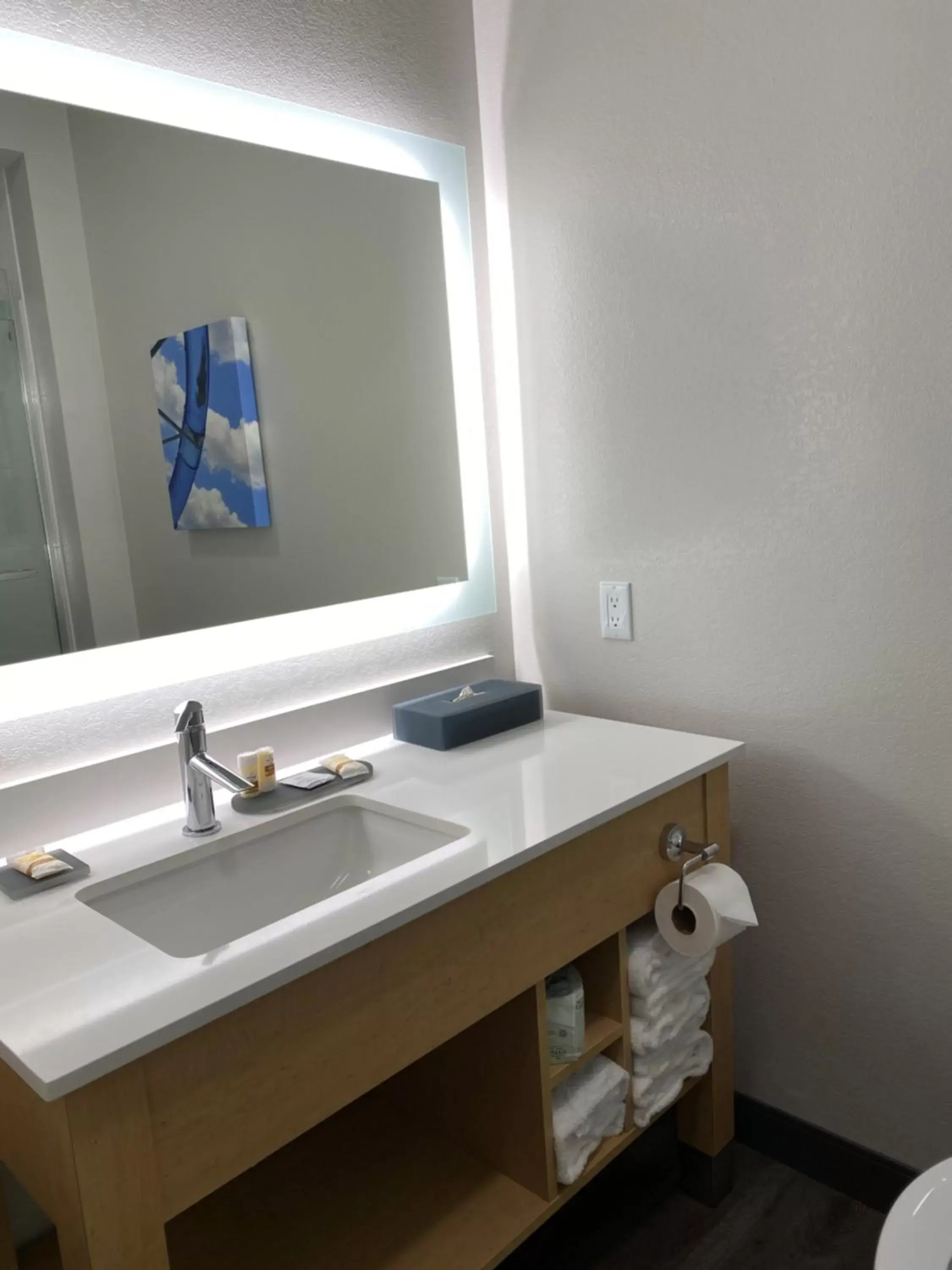 Bathroom in La Quinta Inn & Suites by Wyndham Wisconsin Dells- Lake Delton