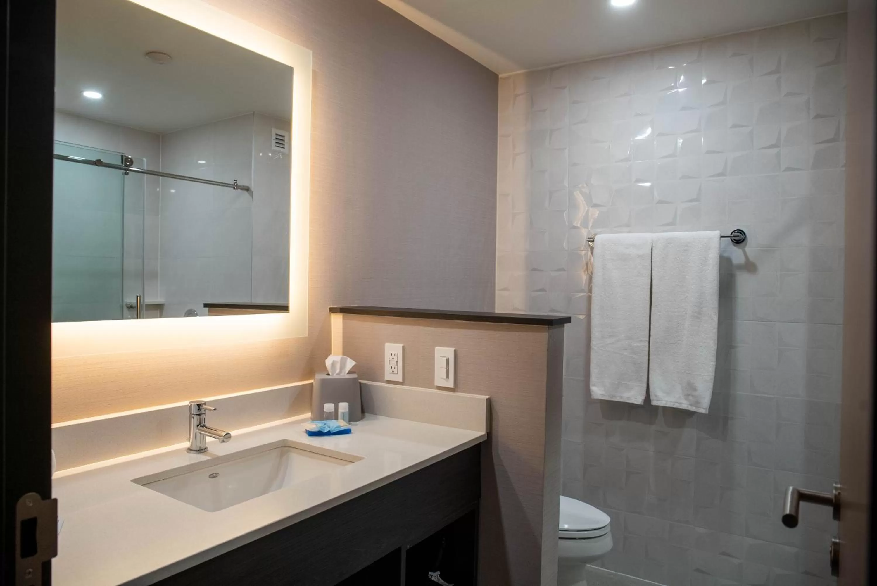Bathroom in Holiday Inn Express & Suites - Tijuana Otay by IHG