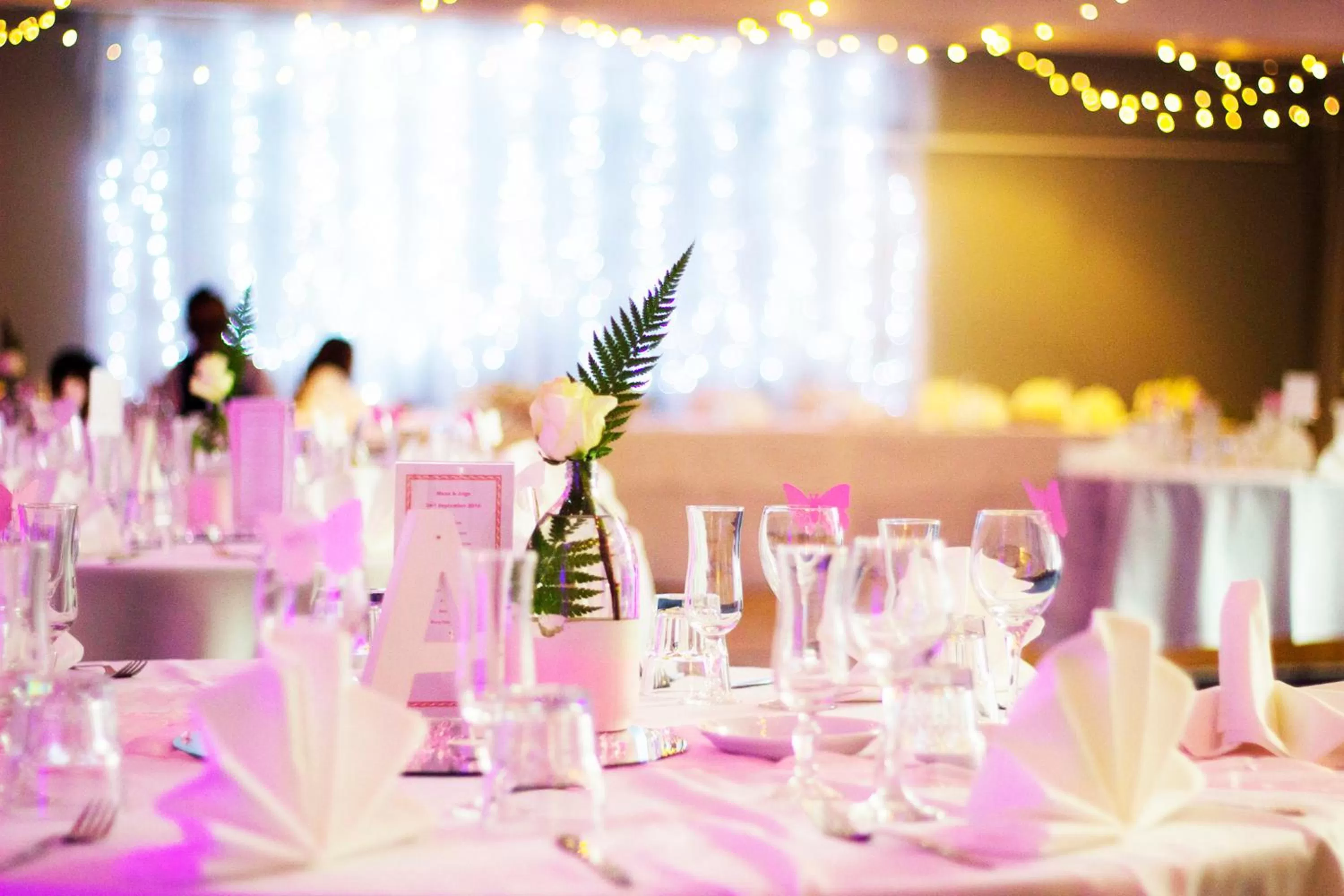 Banquet/Function facilities in Mount Richmond Hotel