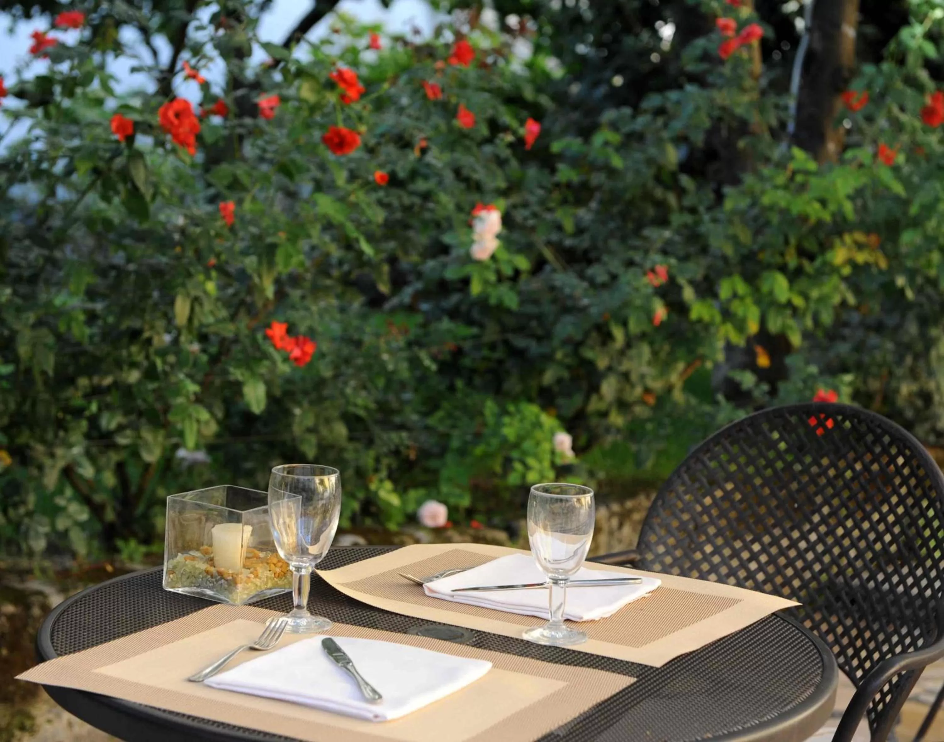 Restaurant/places to eat in Hotel Tourist