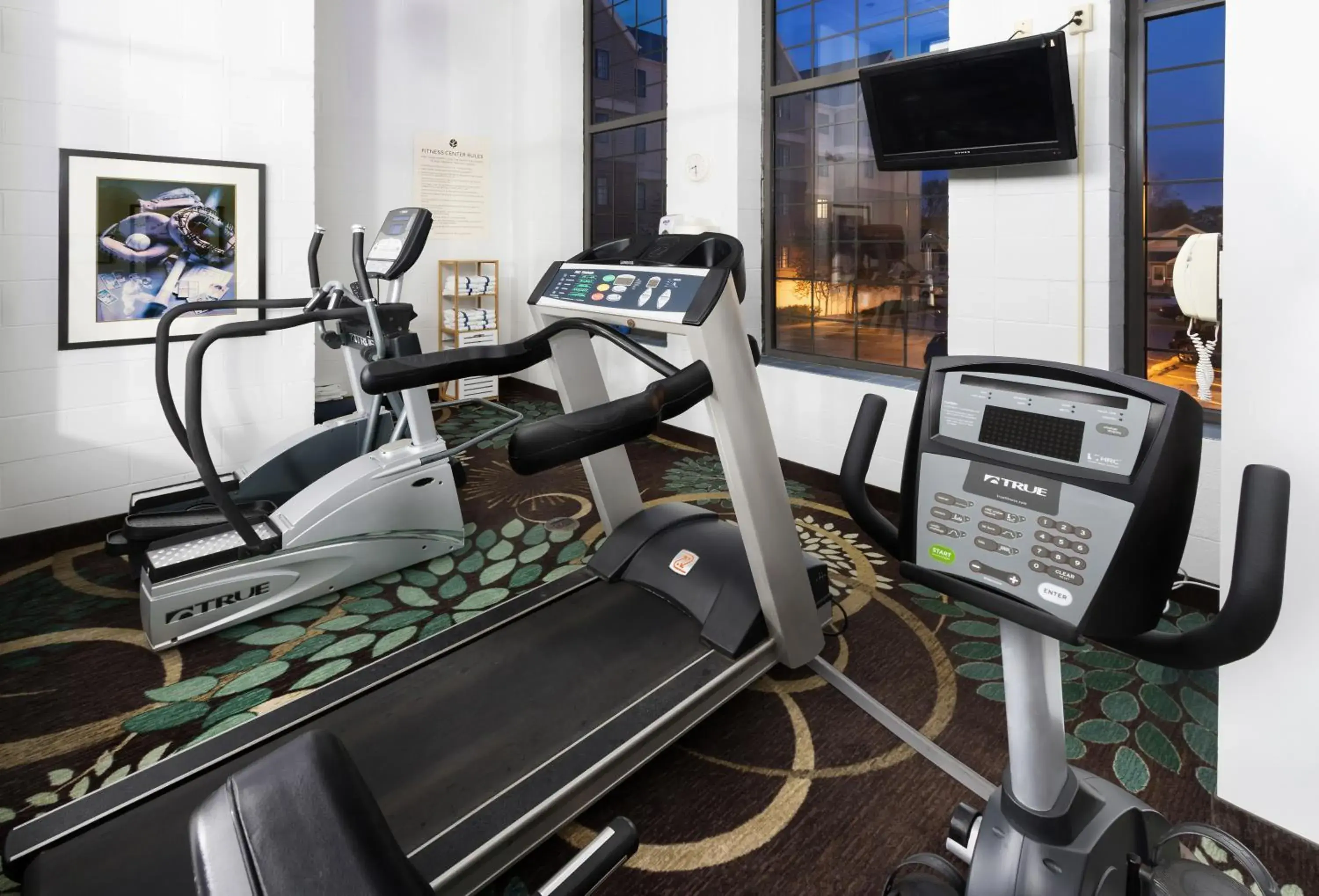 Fitness centre/facilities, Fitness Center/Facilities in Aspen Suites - Rochester
