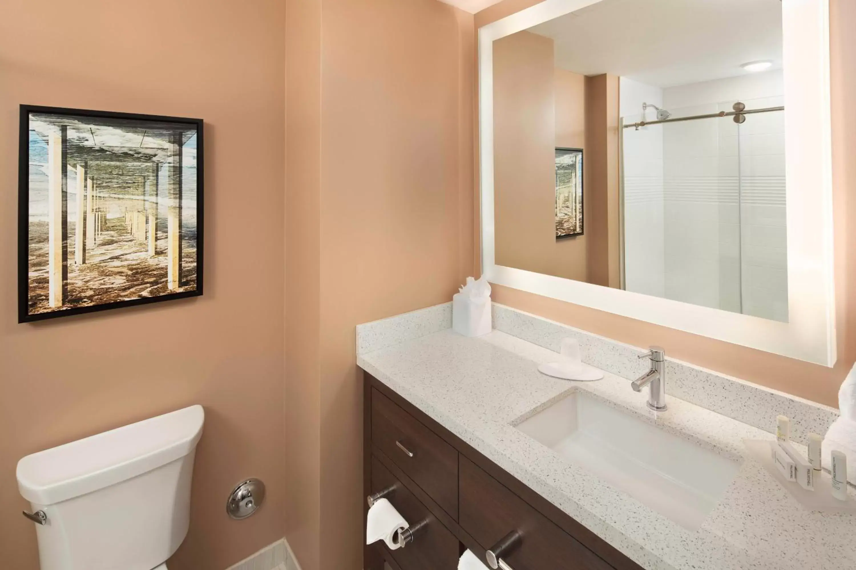 Bathroom in TownePlace Suites by Marriott San Diego Downtown