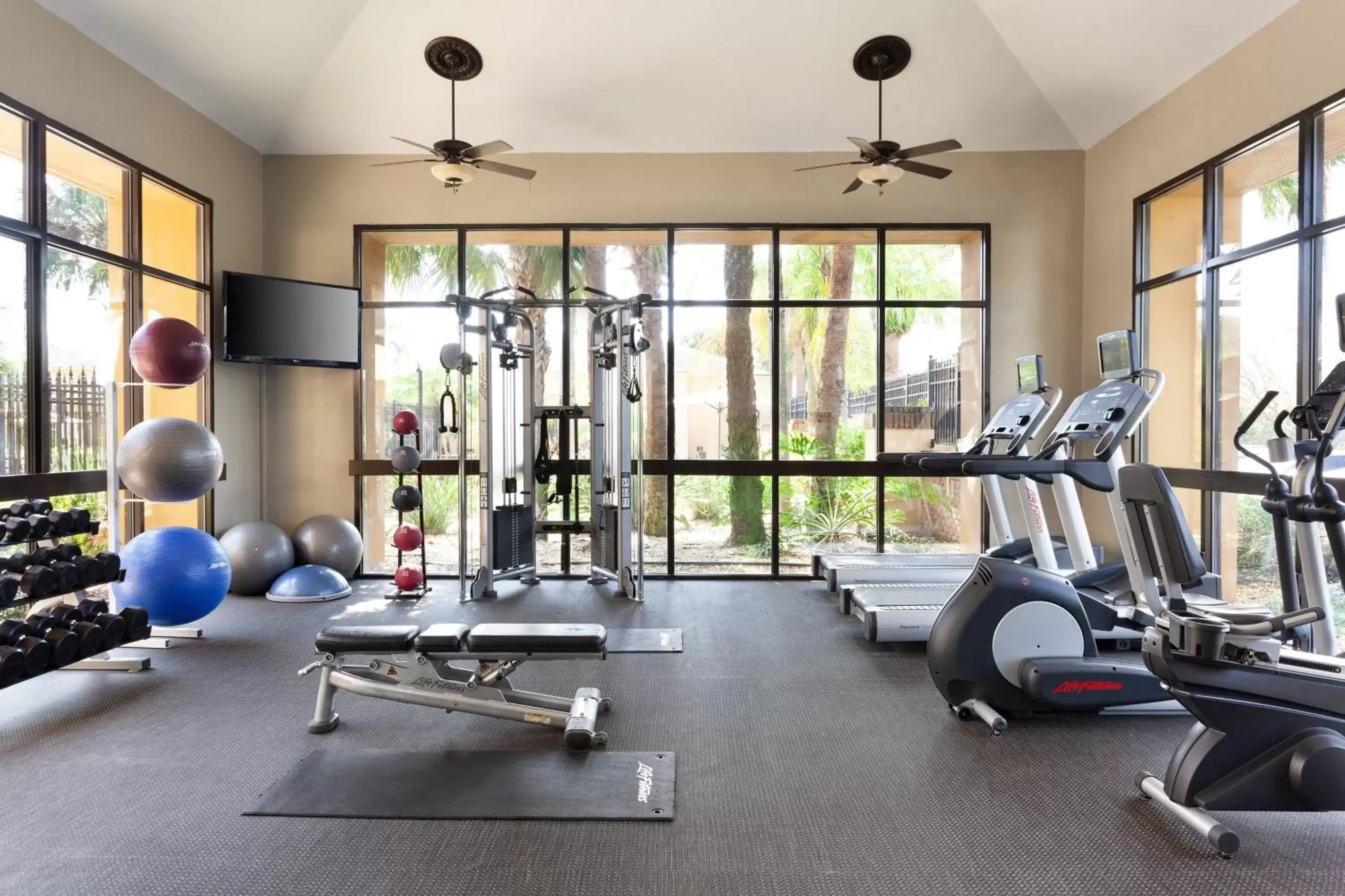 Fitness centre/facilities, Fitness Center/Facilities in Courtyard Tampa Westshore/Airport
