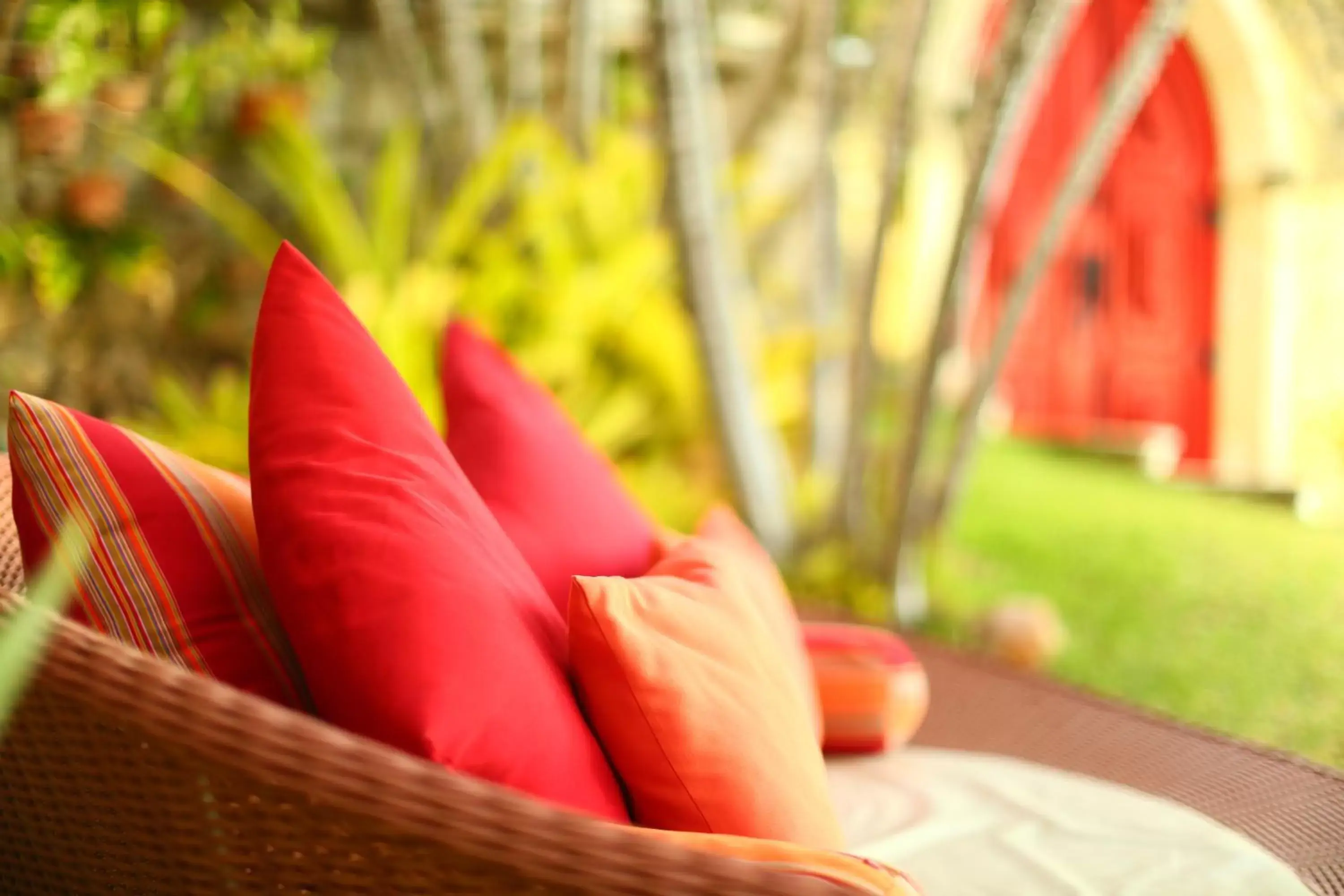 Garden in Manary Praia Hotel