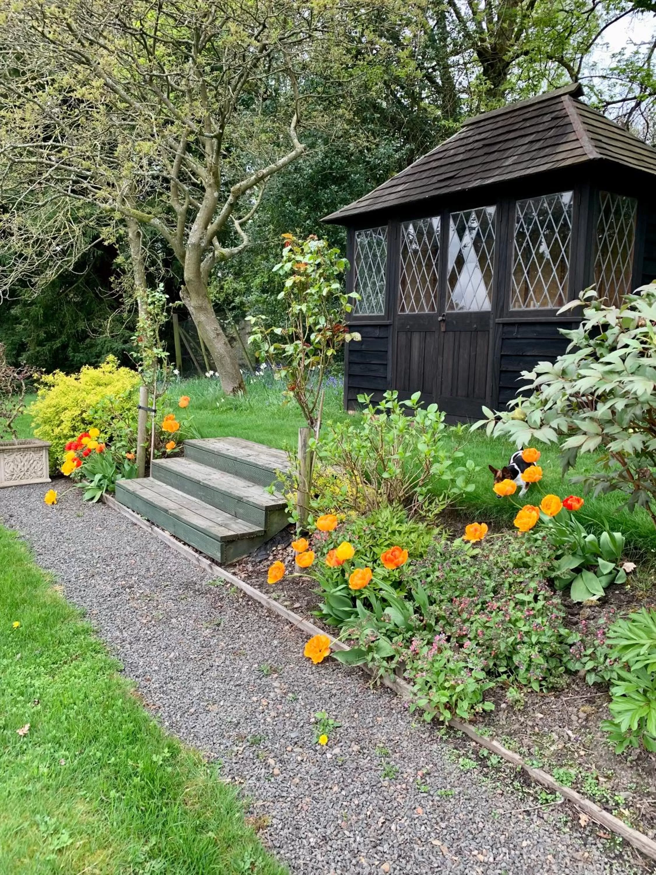 Garden in West Plean House