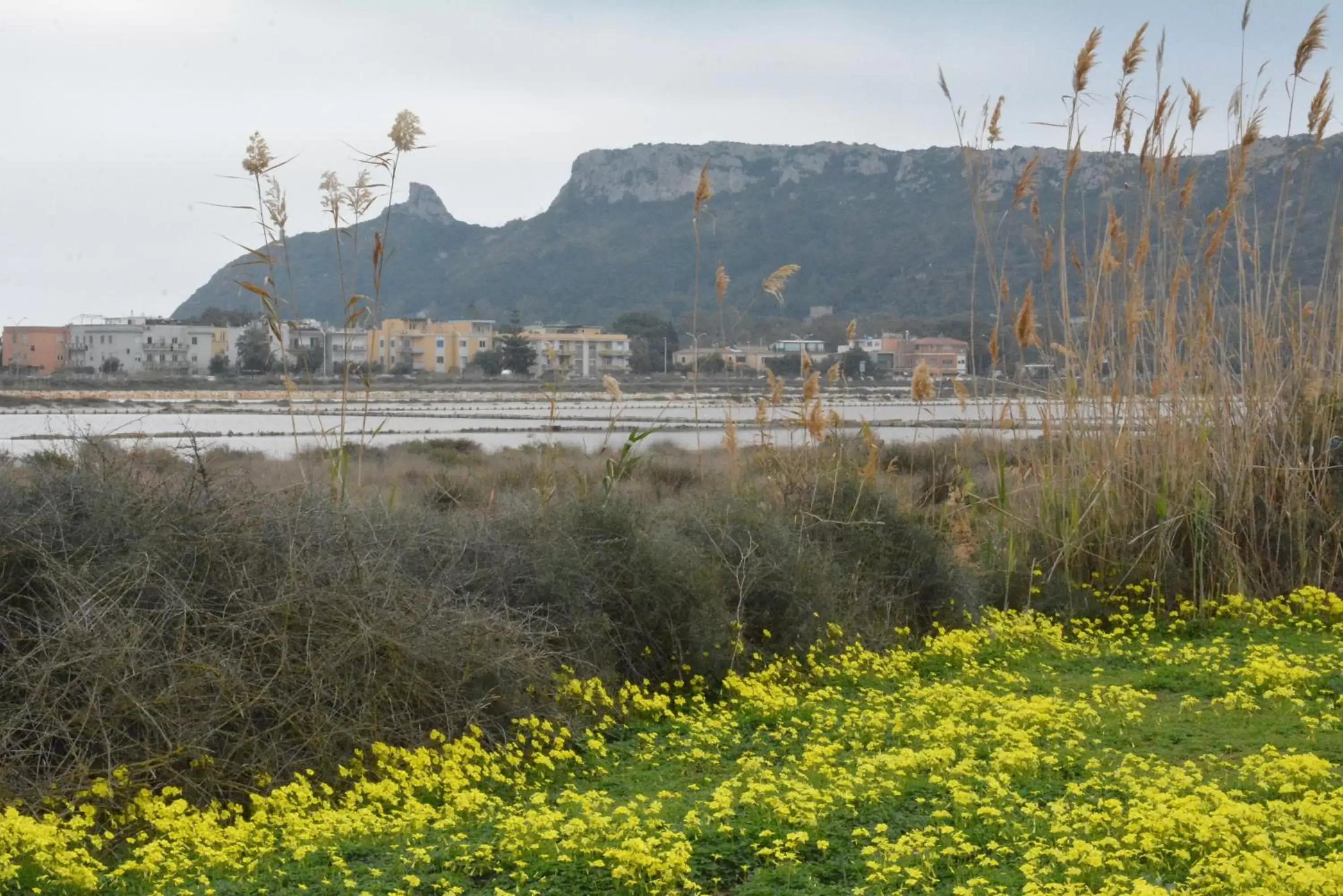 Neighbourhood in Giardini e Mare