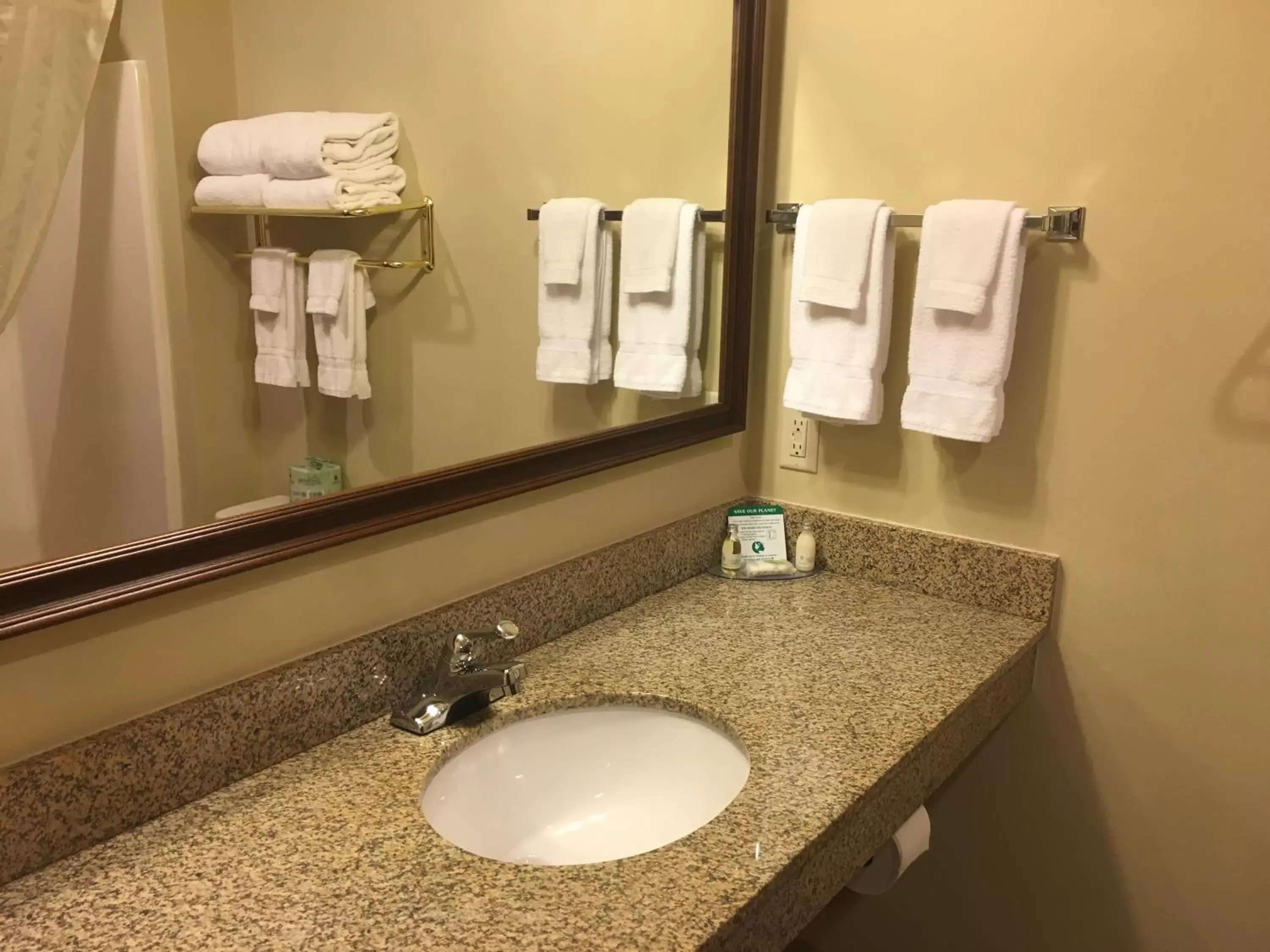 Bathroom in Cobblestone Inn & Suites - Durand