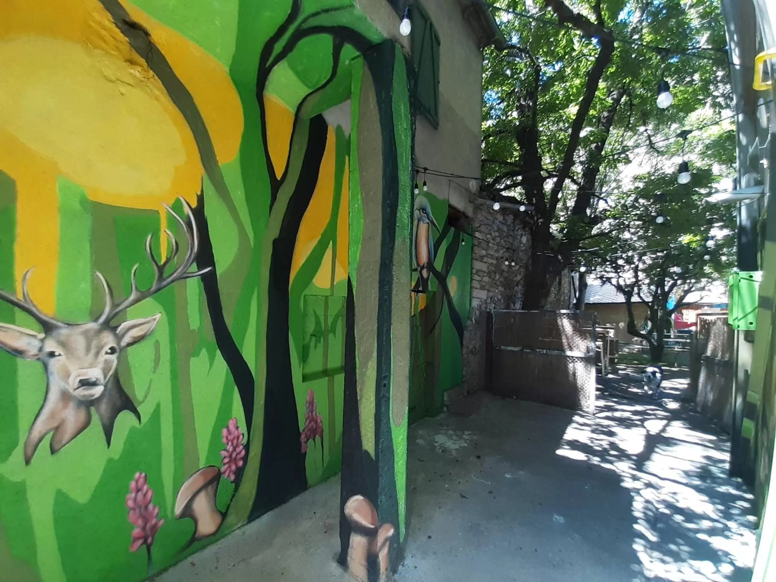 Restaurant/places to eat in Pey Resort