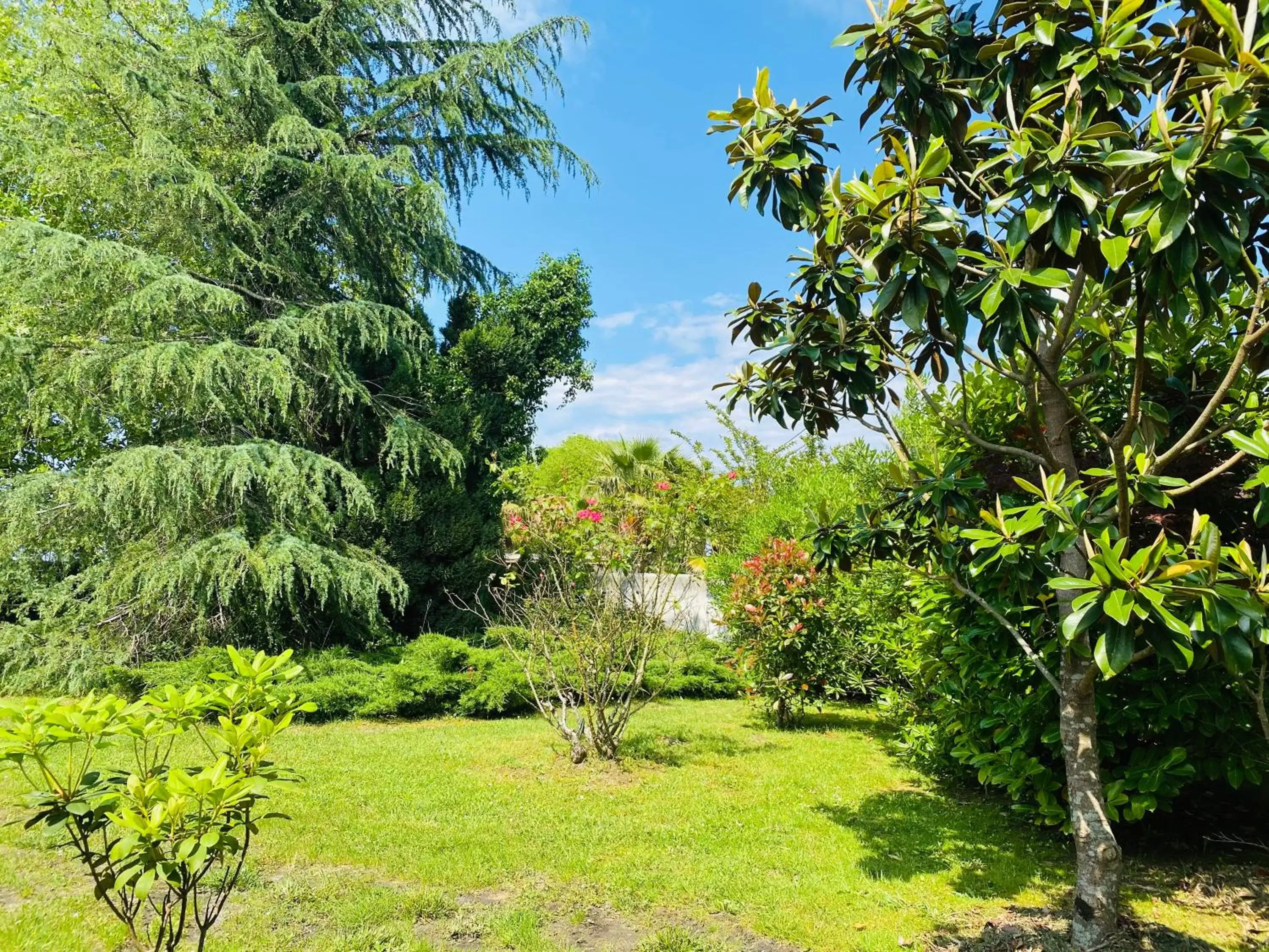 Garden in The Originals City, Hôtel Le Lodge, Bayonne Nord