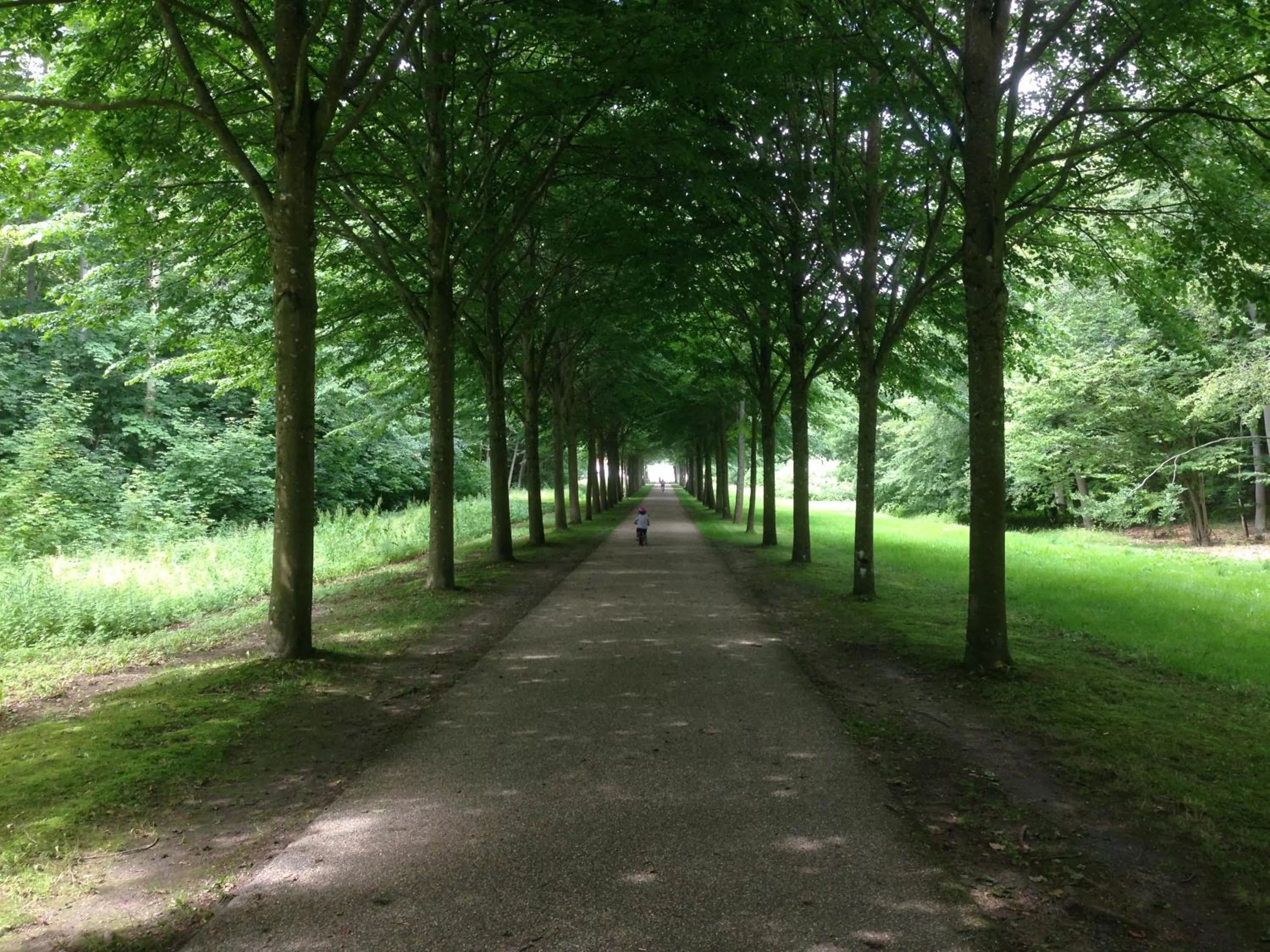 Neighbourhood in Hotel Fredensborg Store Kro