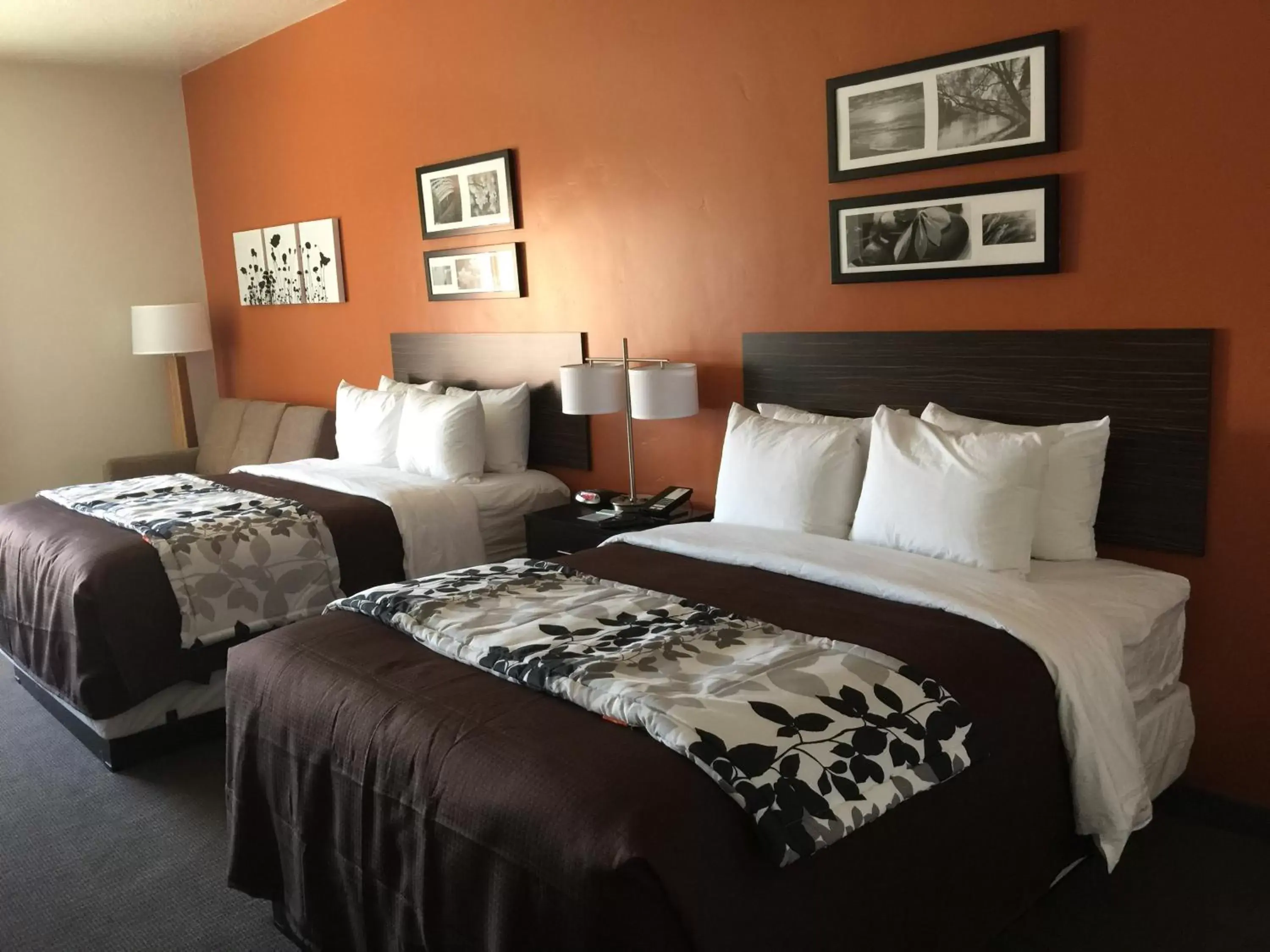 Queen Room with Two Queen Beds and Sofabed - Non-Smoking in Sleep Inn & Suites Page at Lake Powell