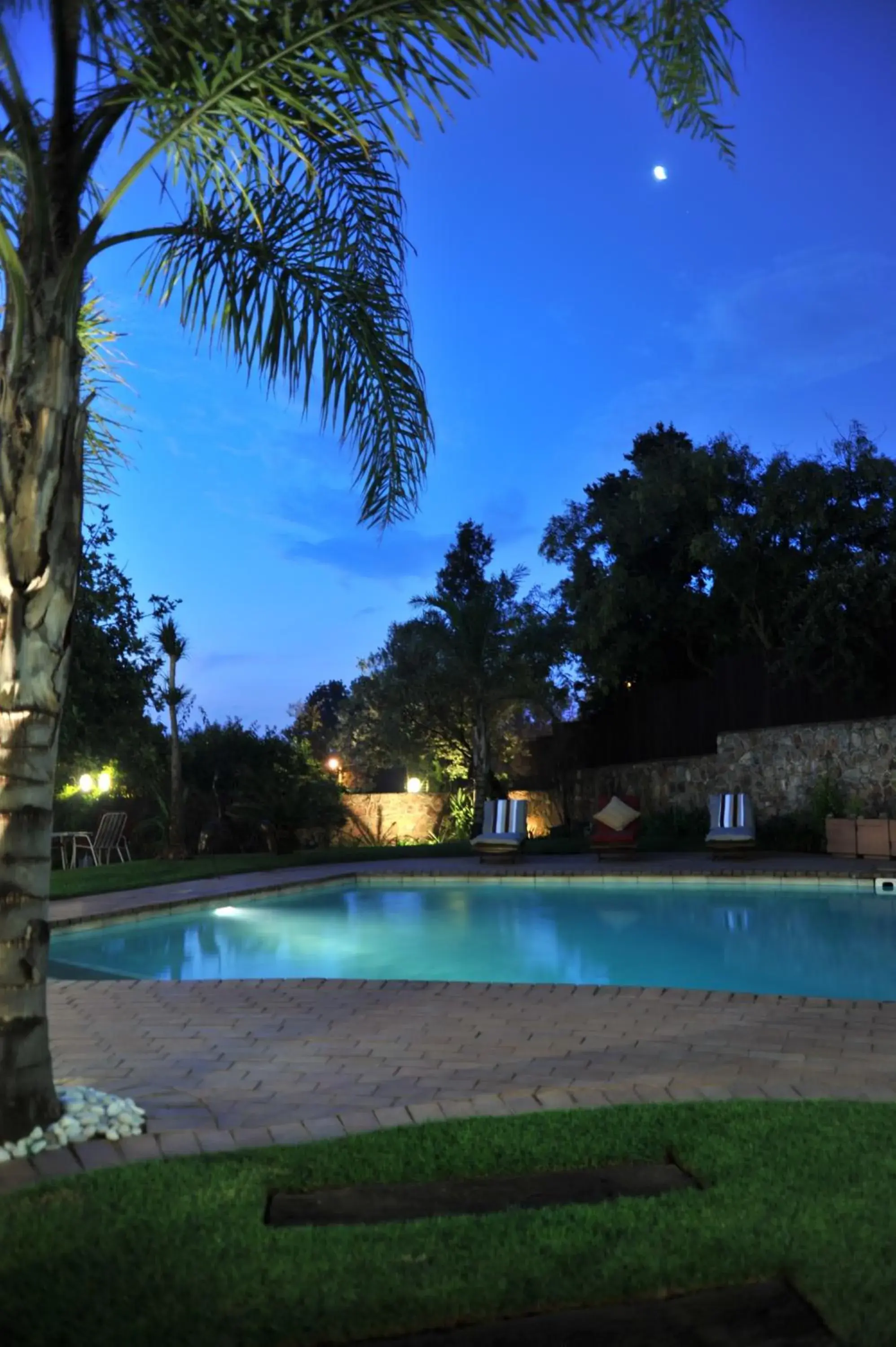 View (from property/room), Swimming Pool in Claires of Sandton Luxury Guest House