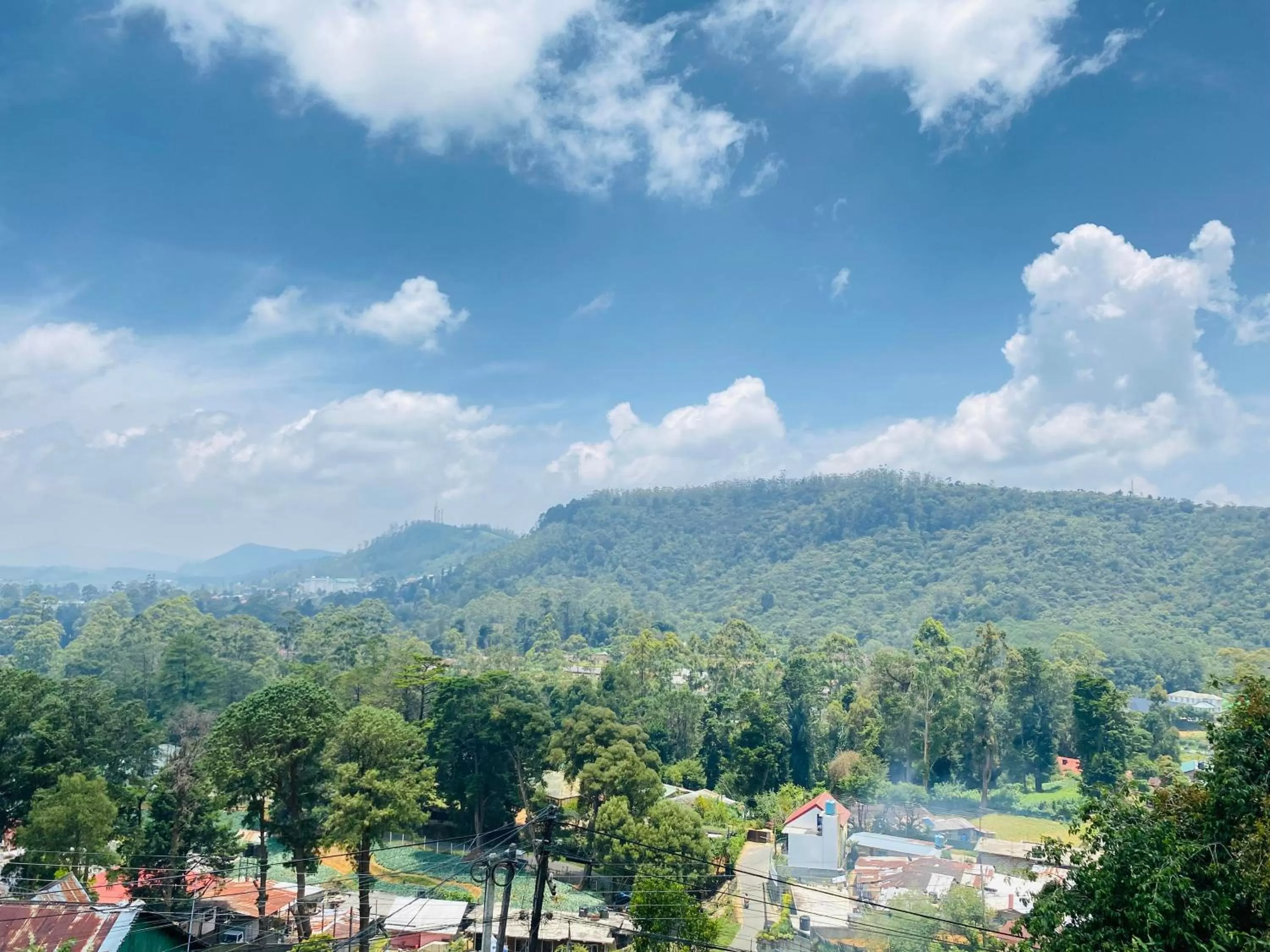 Mountain View in travellers nest inn