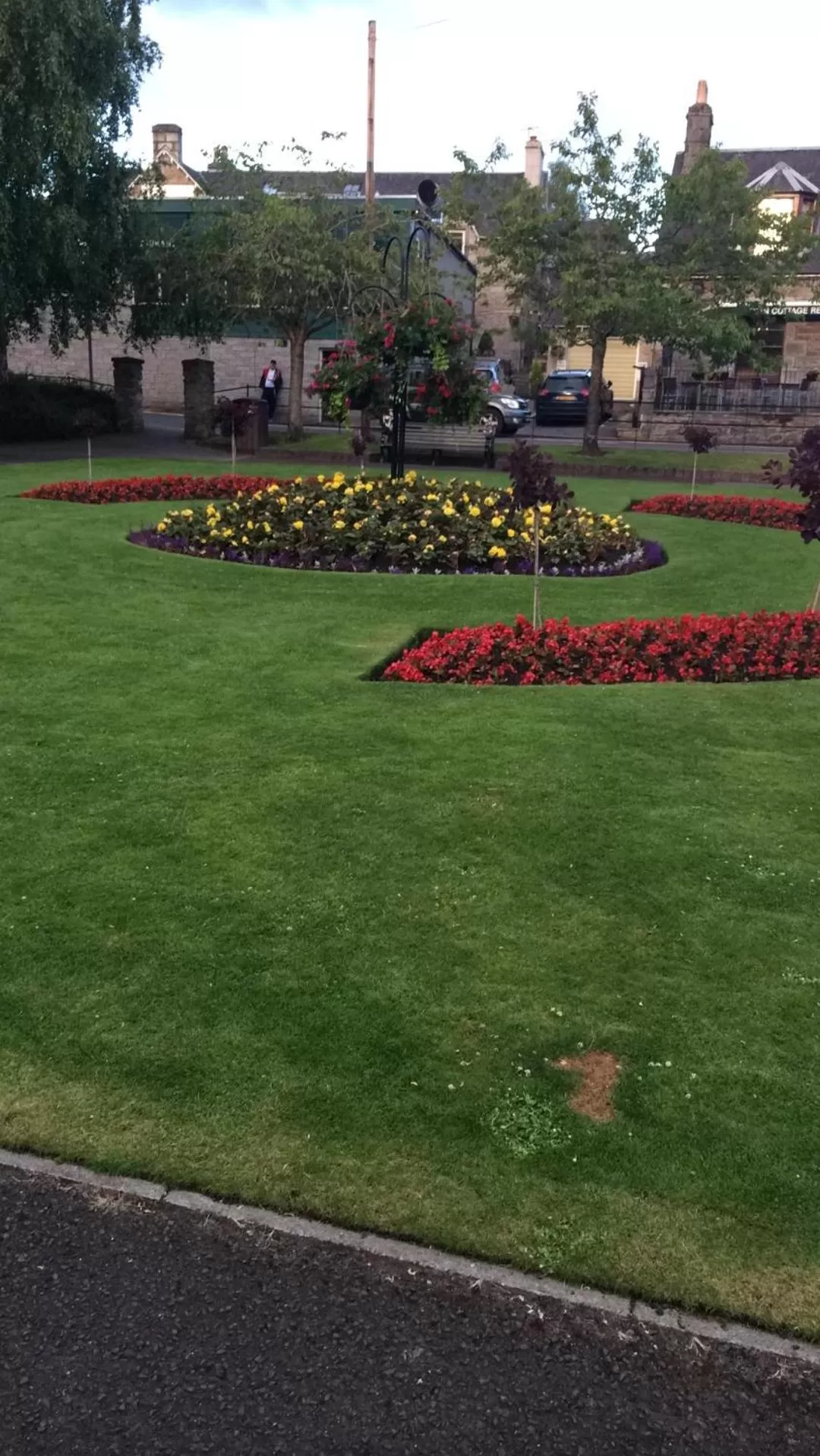 Garden in Rosehill Guest House