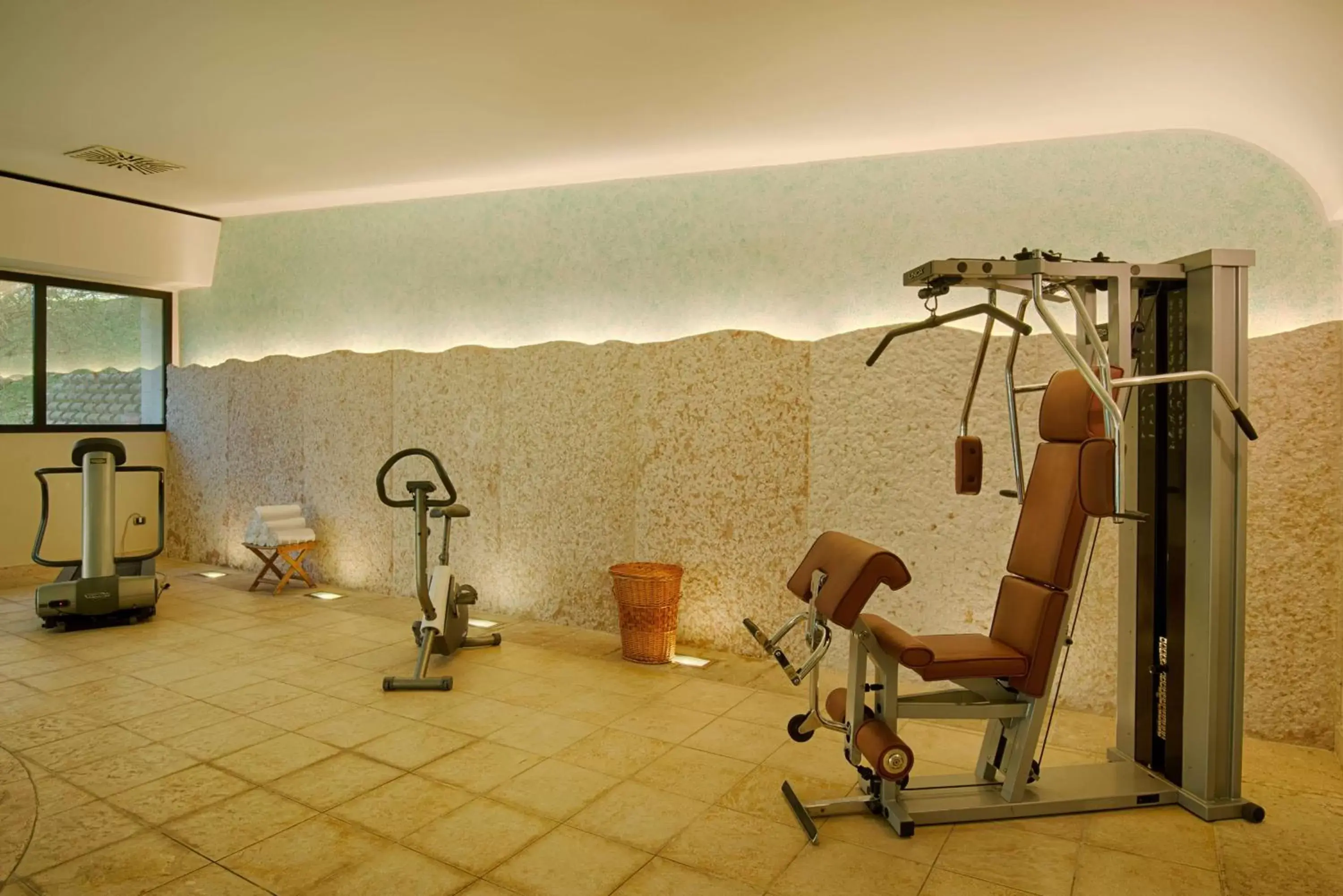 Spa and wellness centre/facilities, Fitness Center/Facilities in NH Bologna Villanova