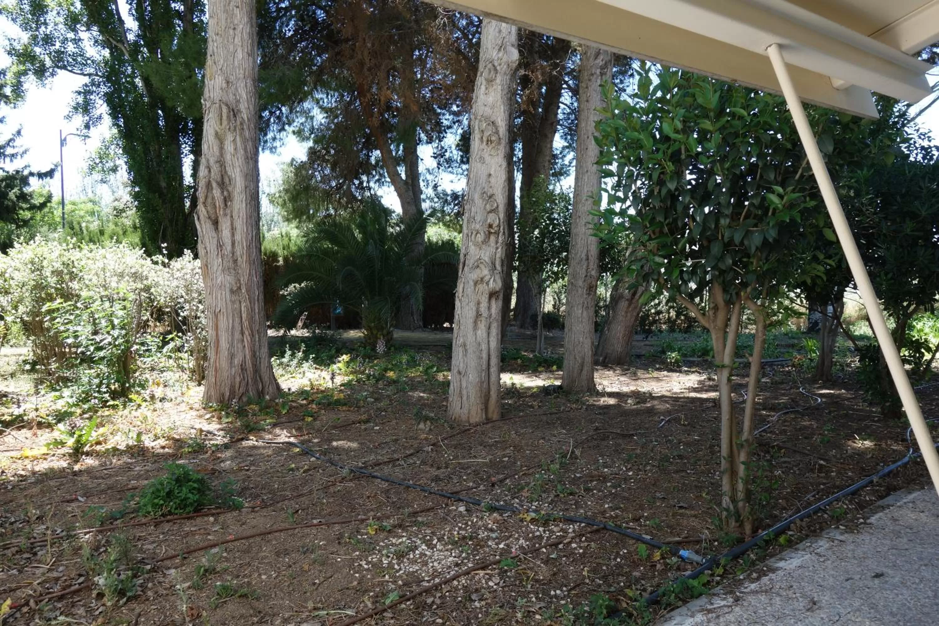 Garden view in Parador de Antequera