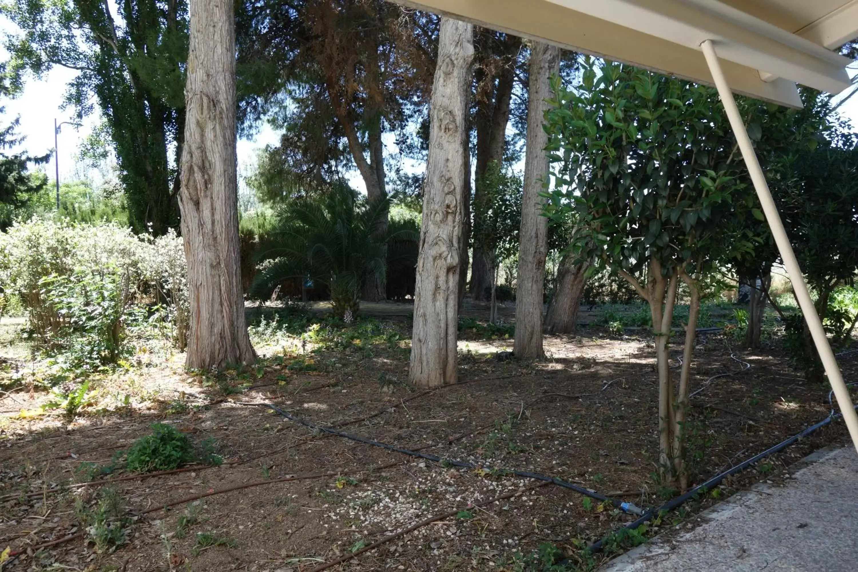 Garden view in Parador de Antequera Garden view in Parador de Antequera