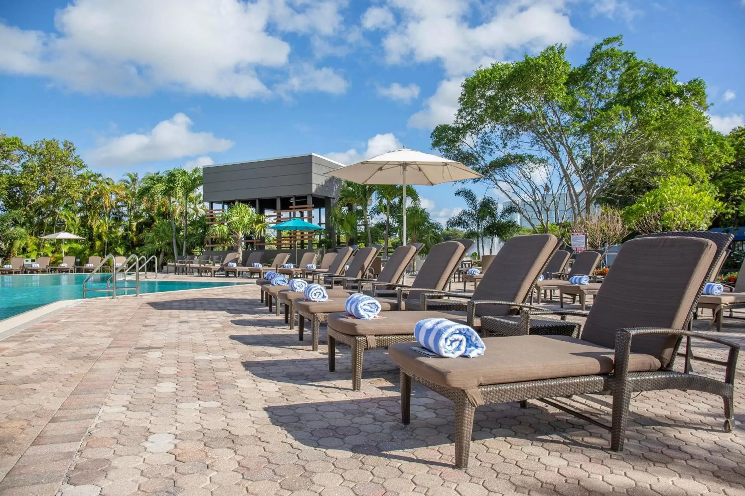 Swimming Pool in The Westin Fort Lauderdale