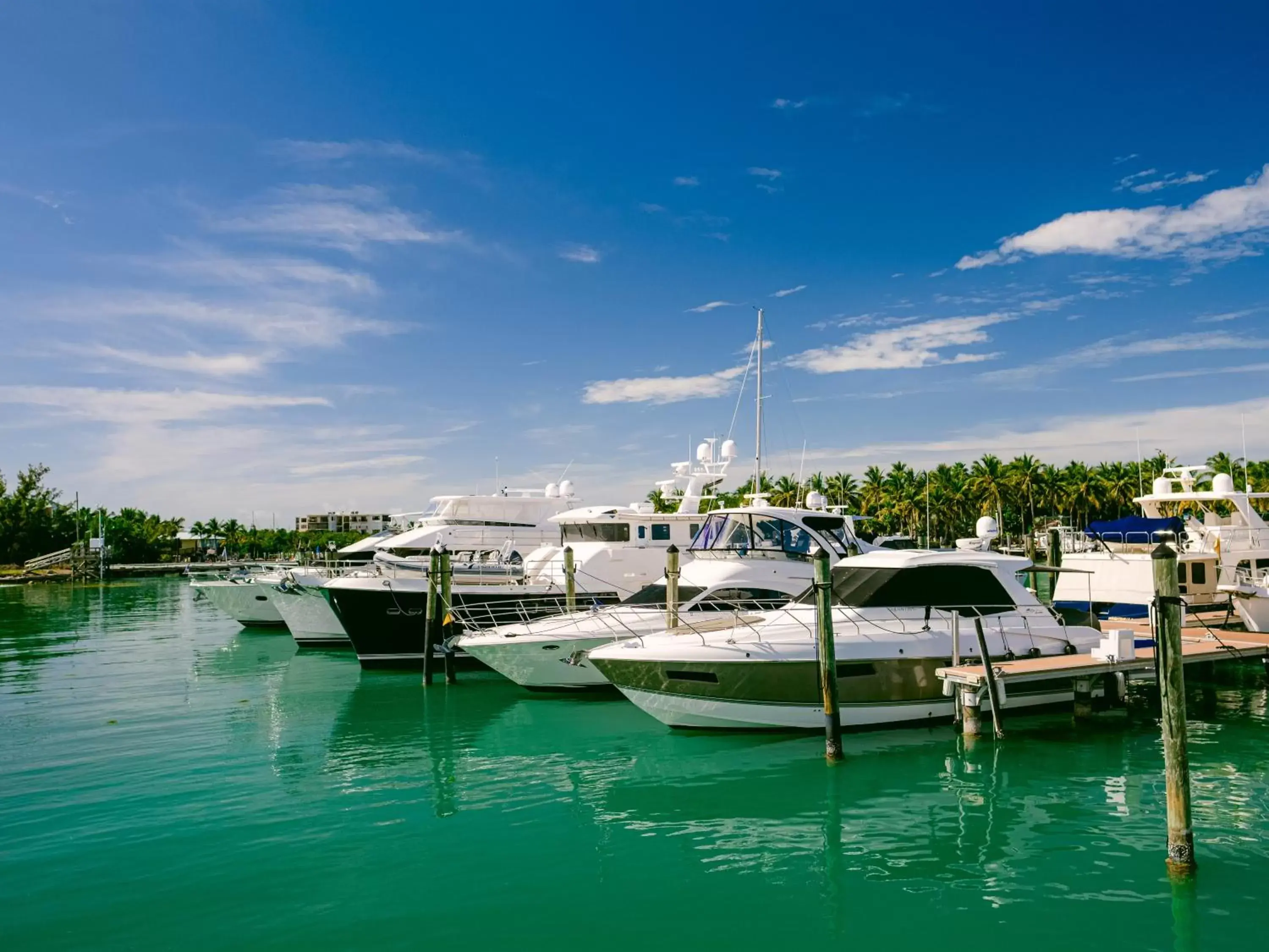 Neighbourhood in Faro Blanco Resort & Yacht Club