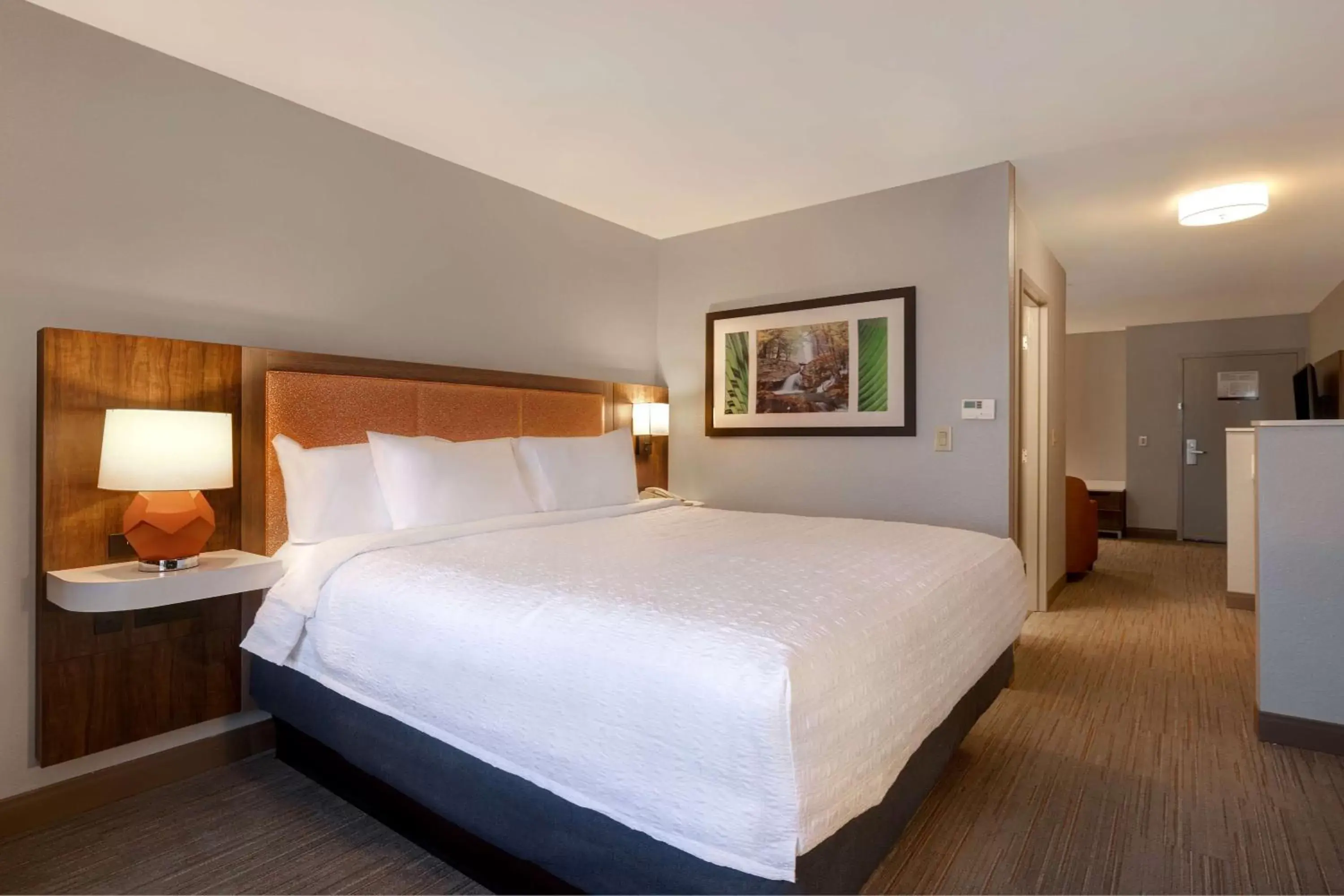 Bed in Hampton Inn & Suites by Hilton in Hot Springs, Arkansas