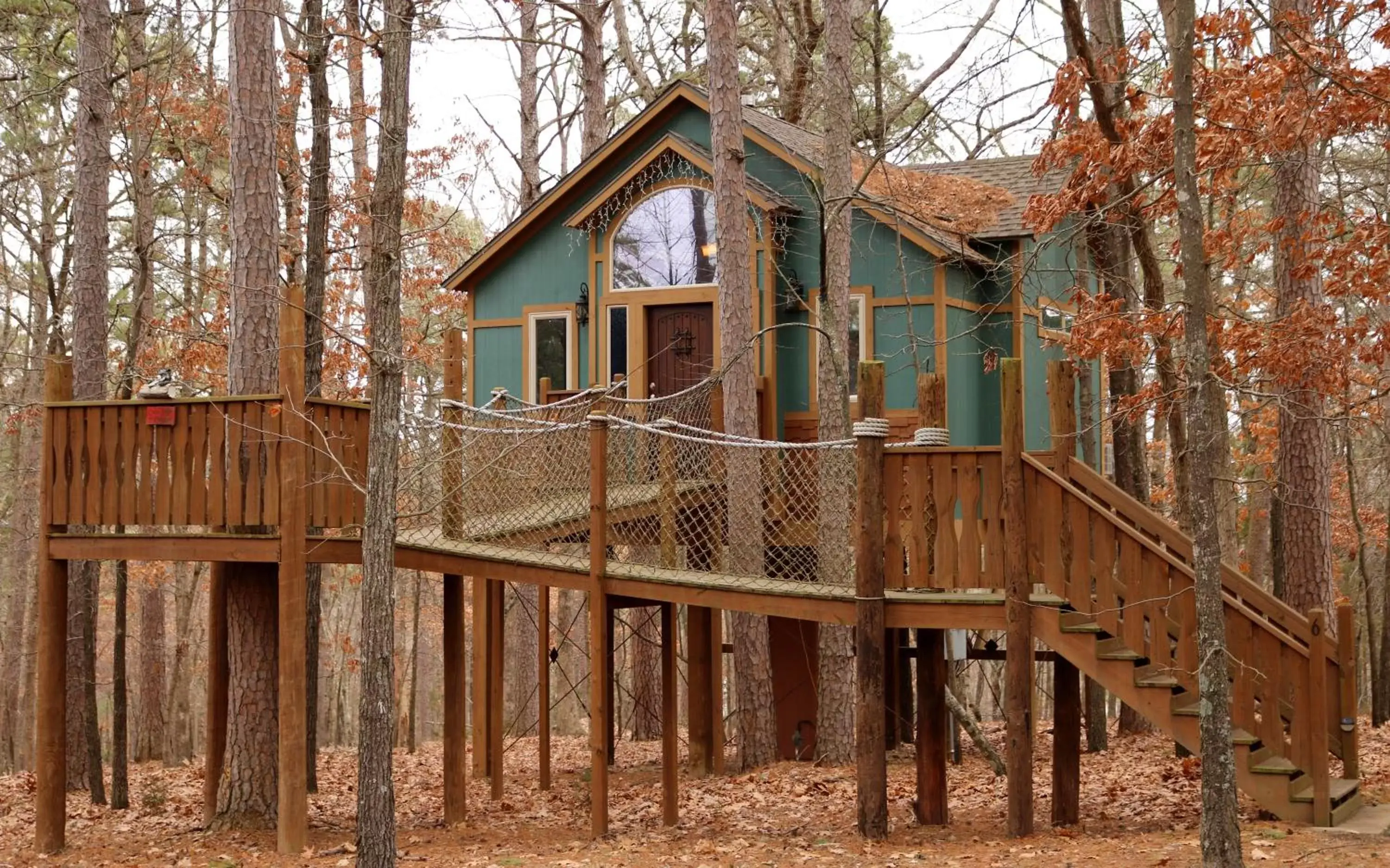 Property Building in The Grand Treehouse Resort