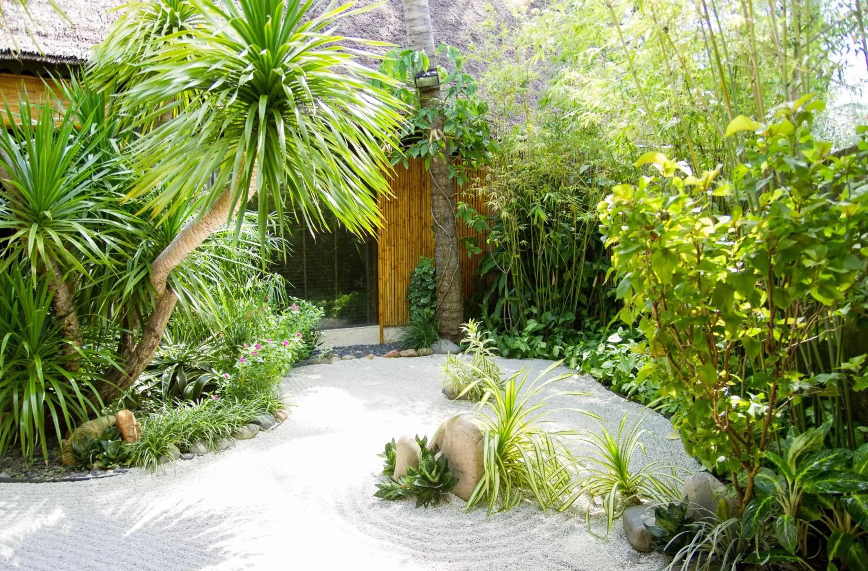 Garden in Bamboo Village Beach Resort & Spa