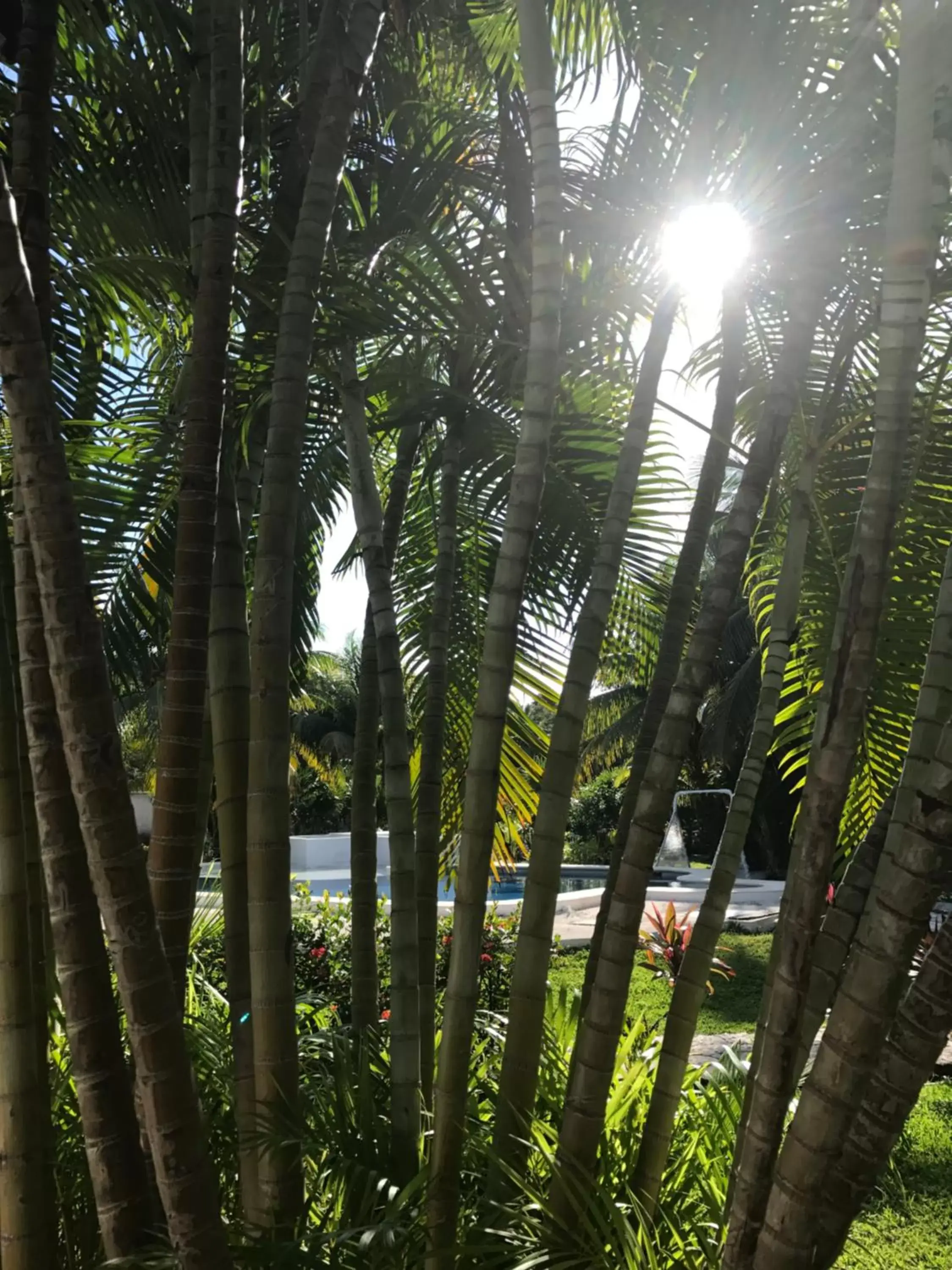 Pool view in WishTulum