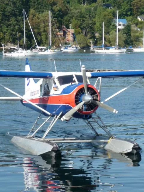 Nearby landmark in Magnolia Petal