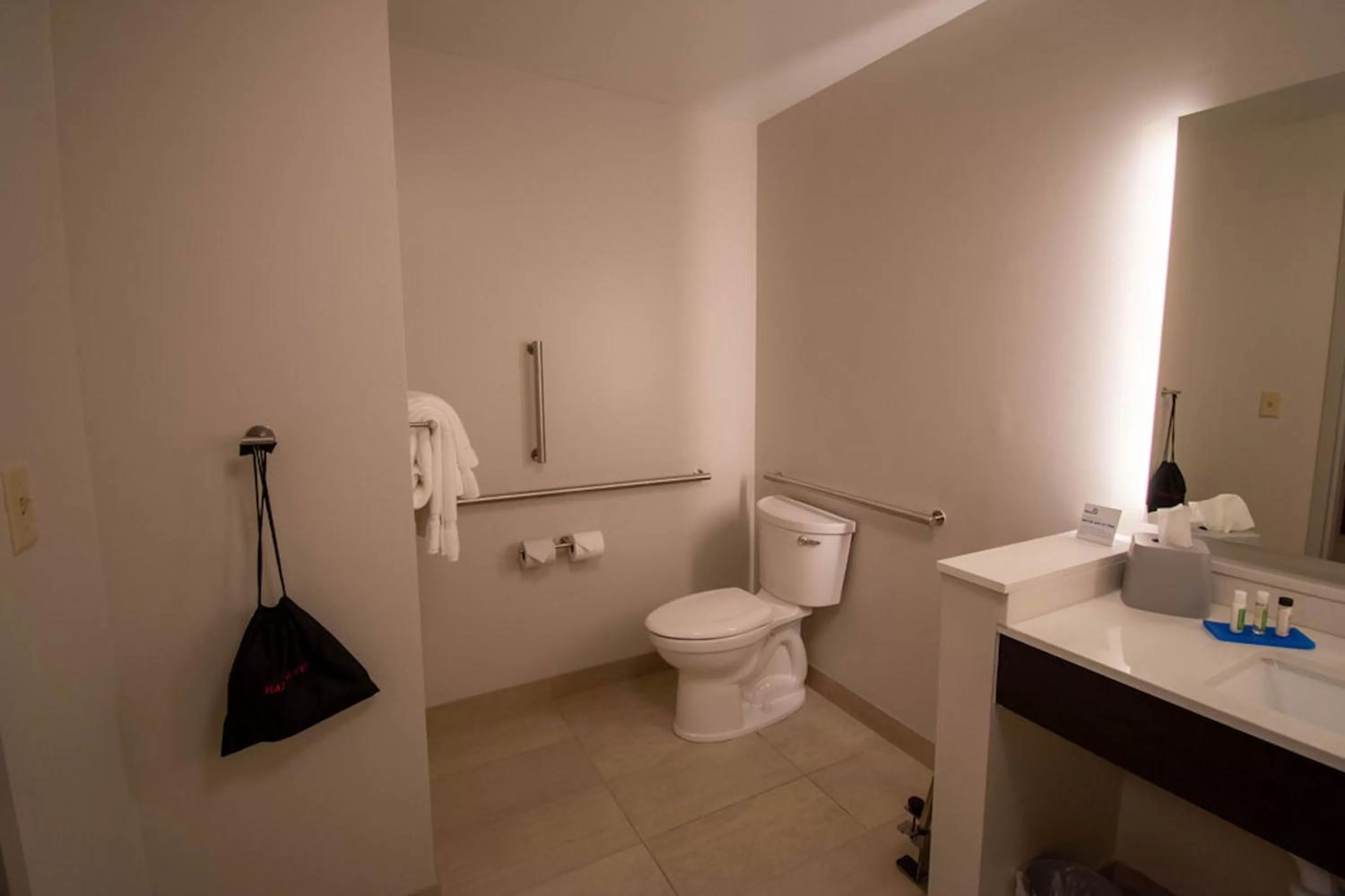 Bathroom in Holiday Inn Express & Suites Tonawanda - Buffalo Area by IHG