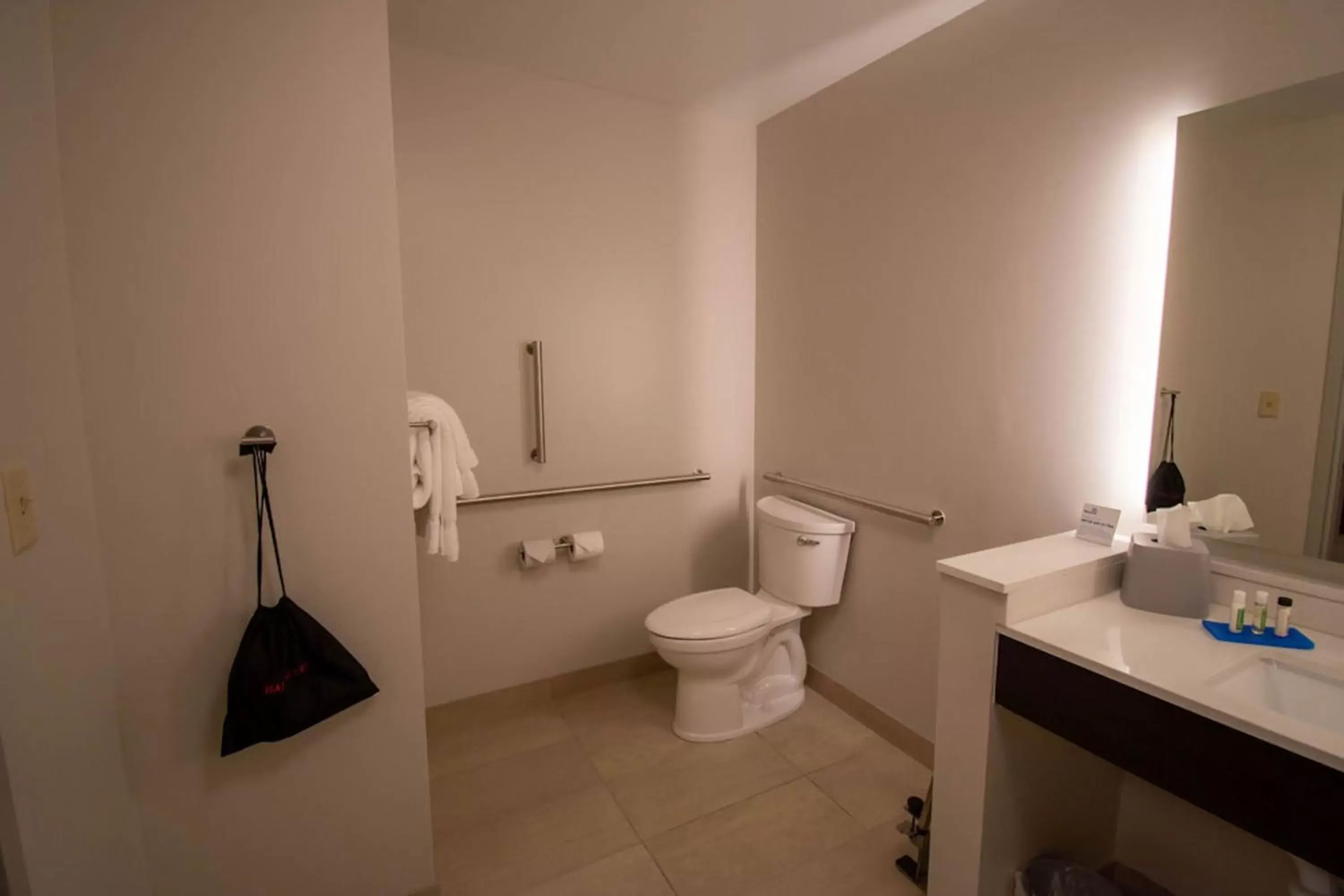 Bathroom in Holiday Inn Express & Suites Tonawanda - Buffalo Area, an IHG Hotel