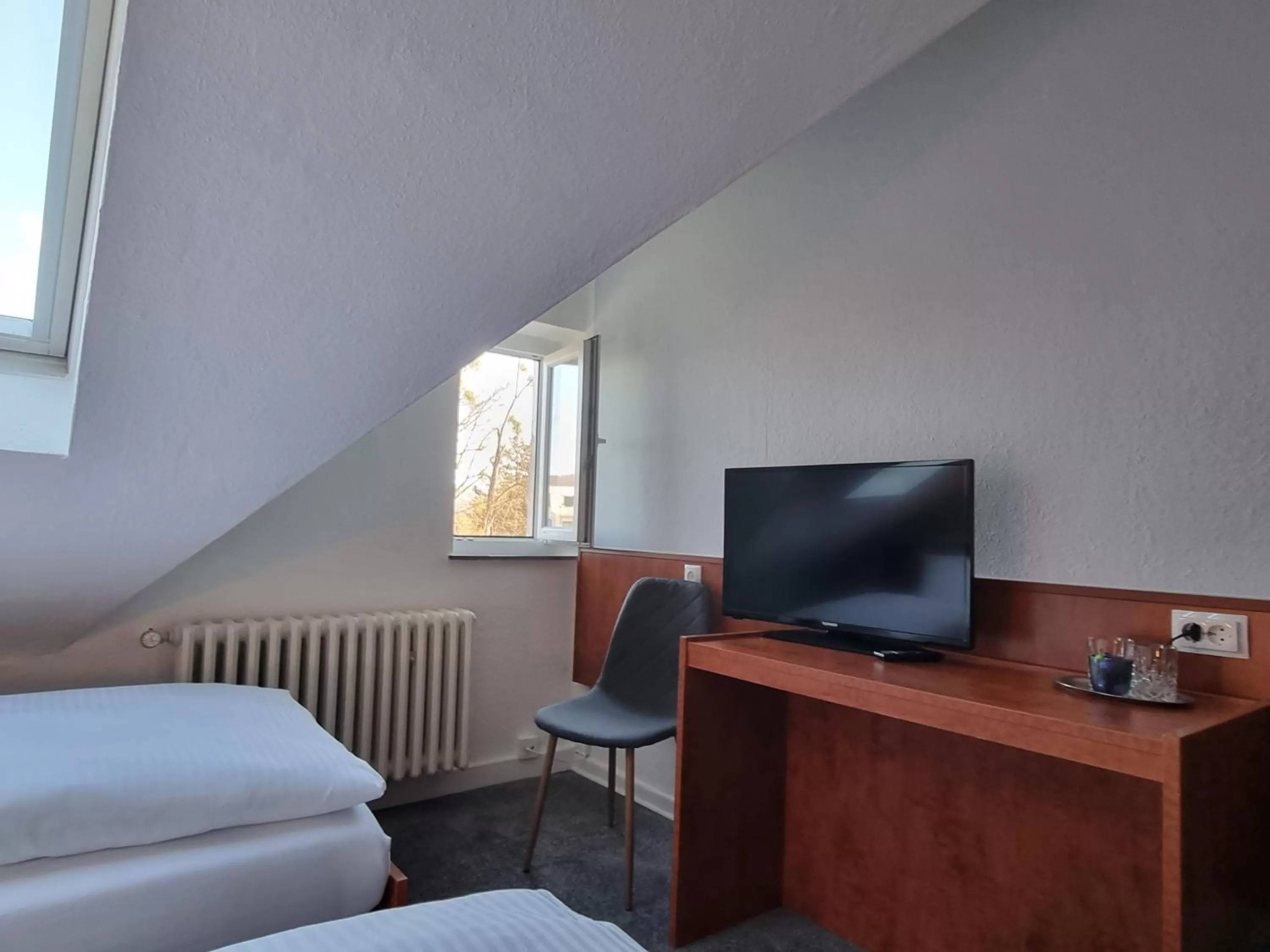 Photo of the whole room, TV/Entertainment Center in Parkhotel Am Schwanenteich