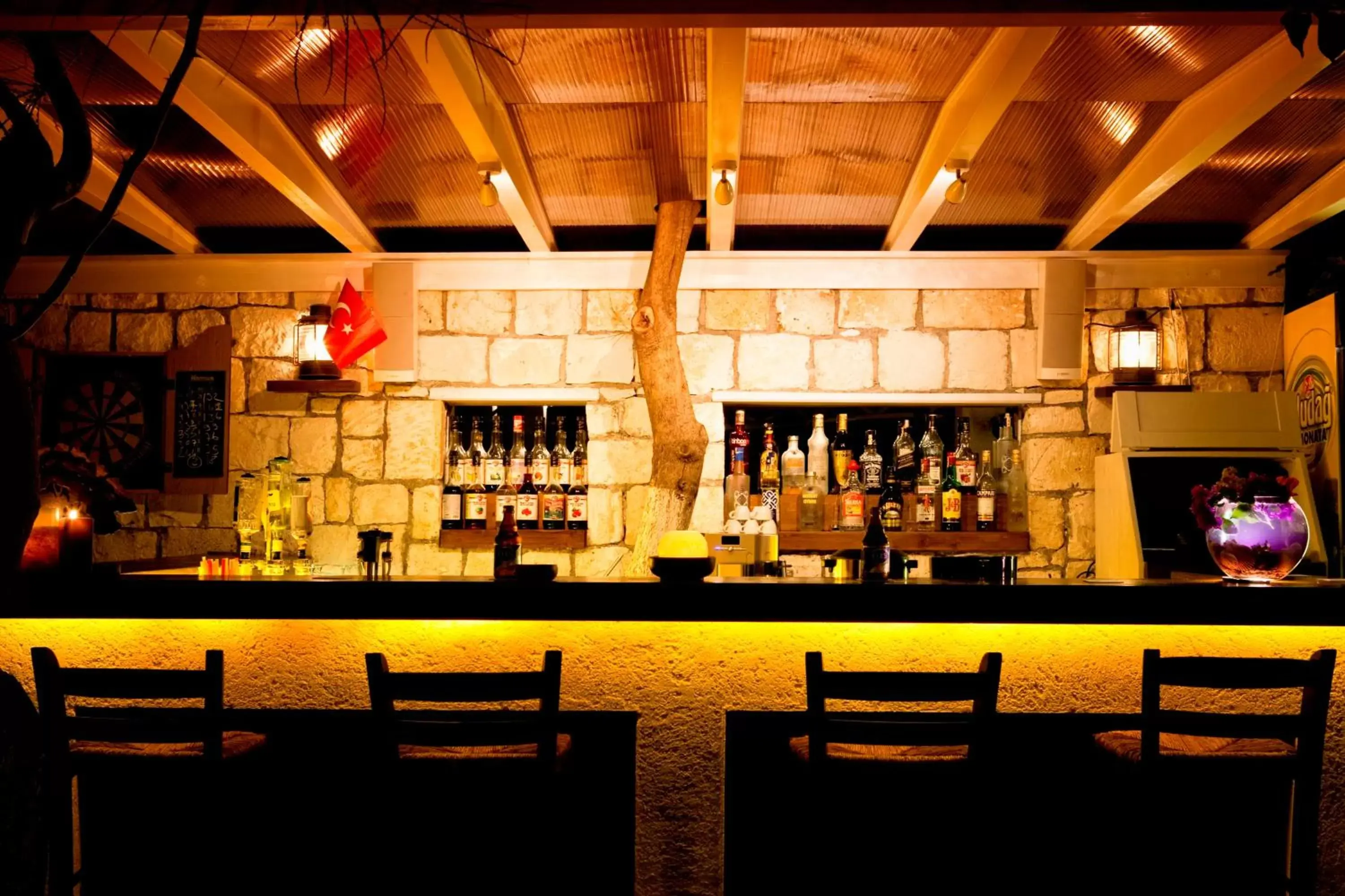 Darts, Lounge/Bar in Olea Nova Hotel