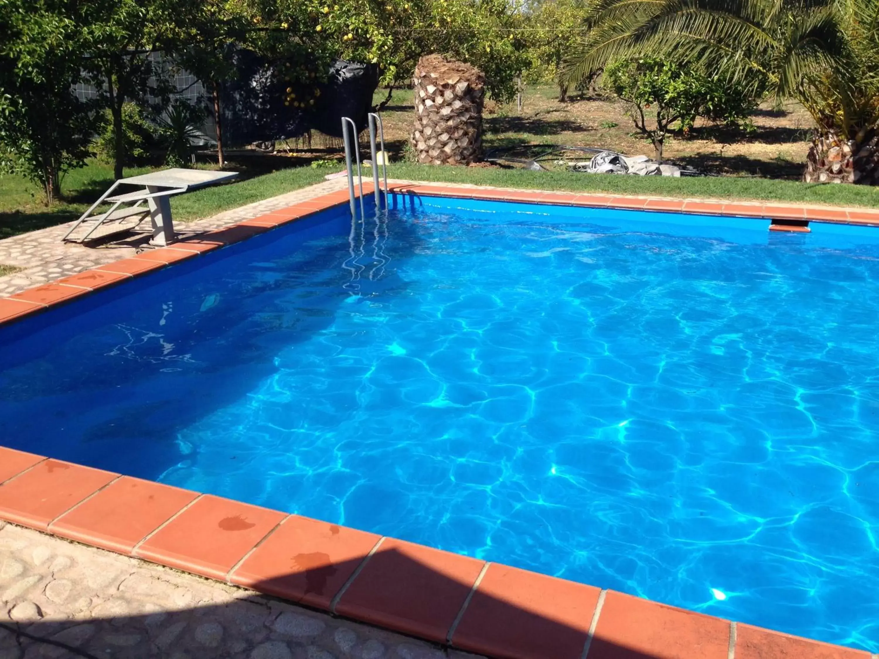 Swimming Pool in b&b le terre cotte