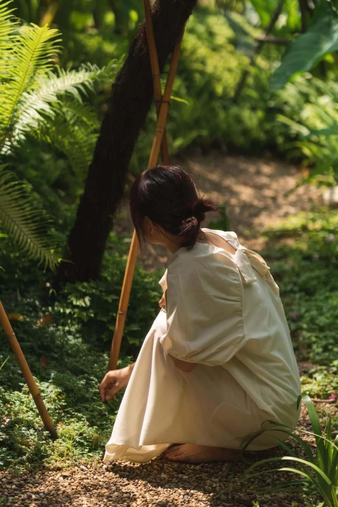 Natural landscape in Proud Phu Fah Muang Chiang Mai