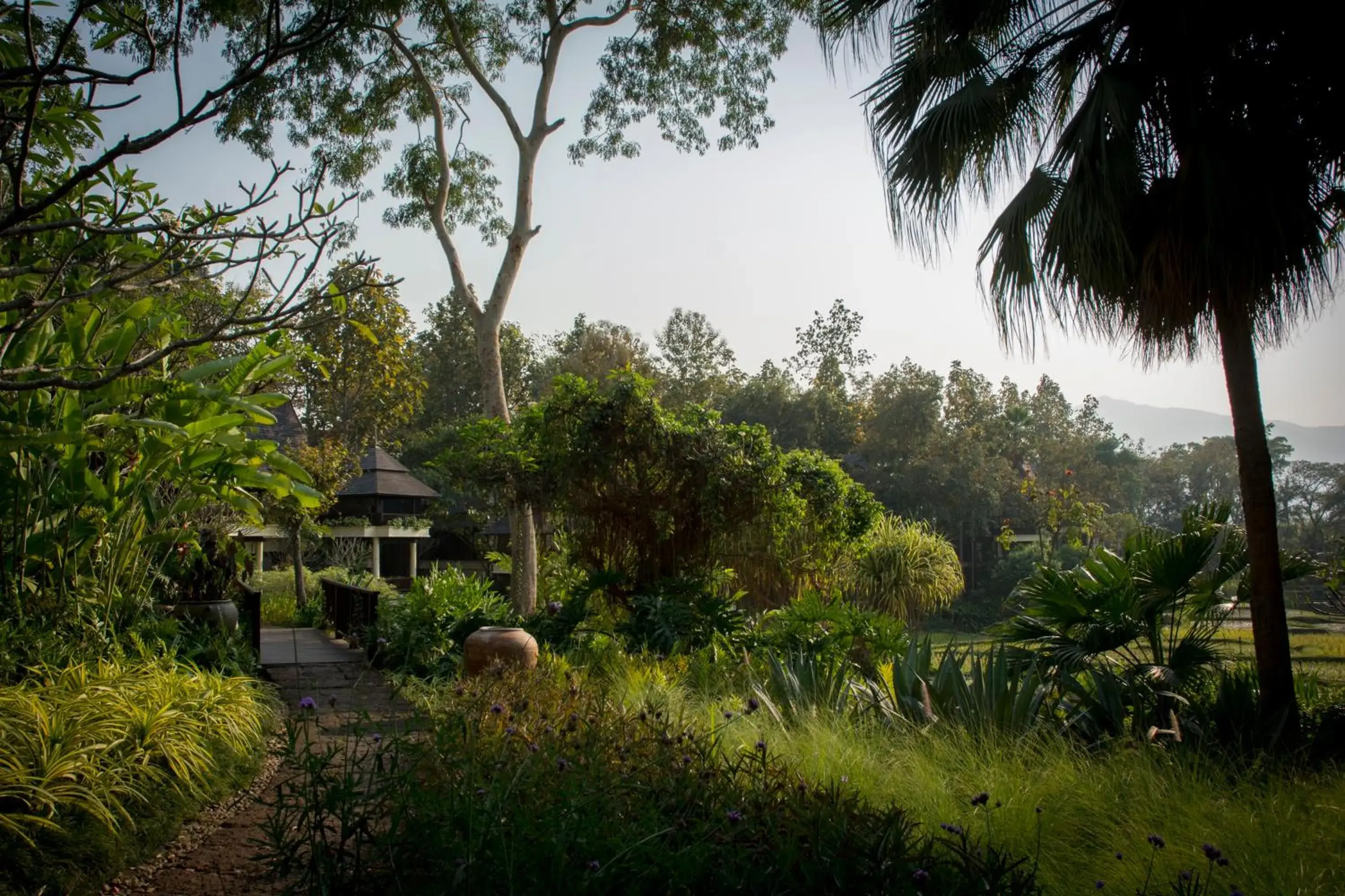 Garden in Four Seasons Resort Chiang Mai