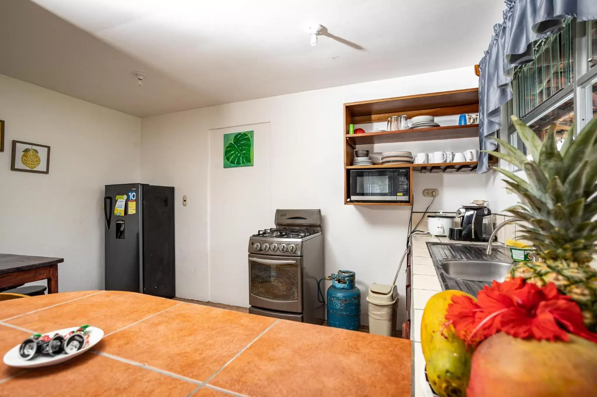 Kitchen or kitchenette in Hotel El Rancho