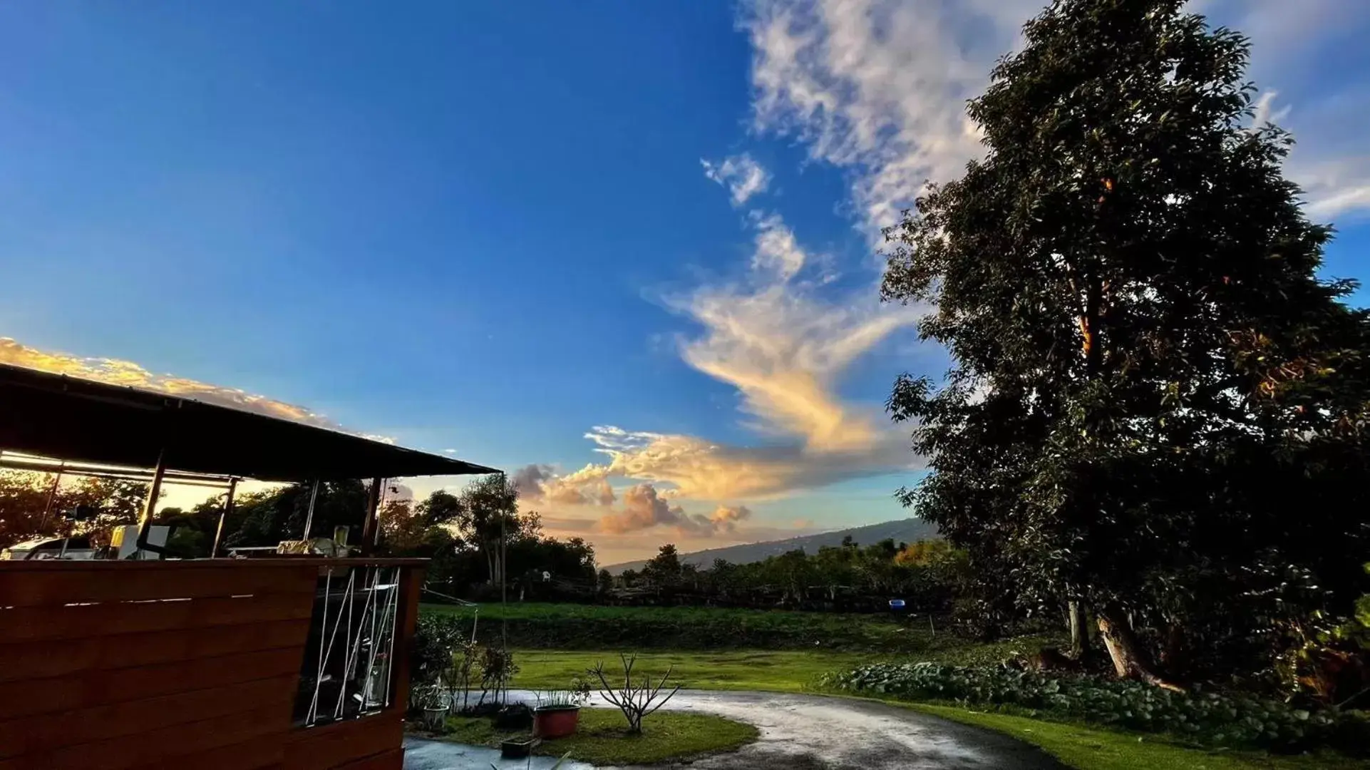 Natural landscape in Coffee Garden