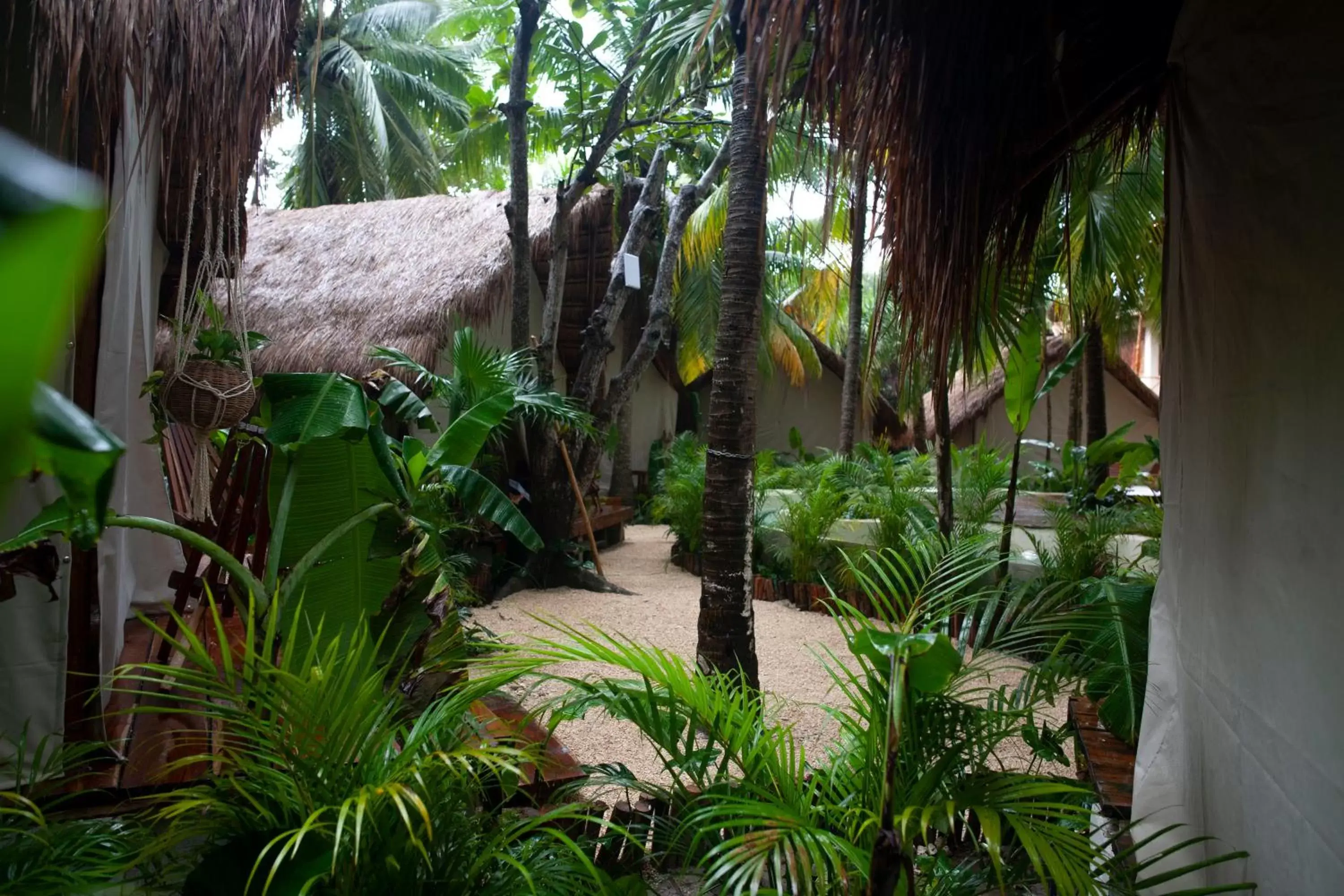 Patio in Serena Tulum - Adults Only