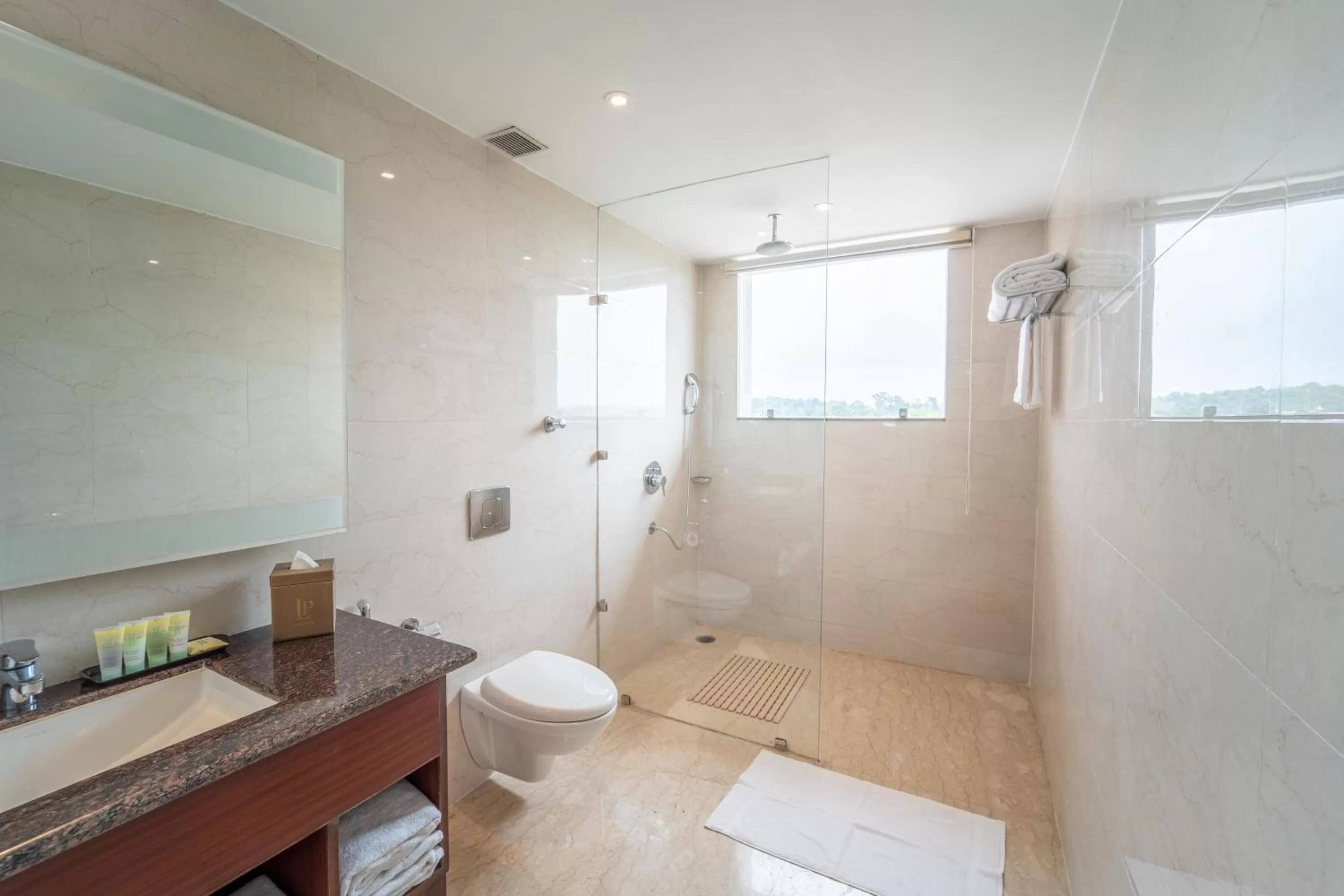 Bathroom in LP Vilas