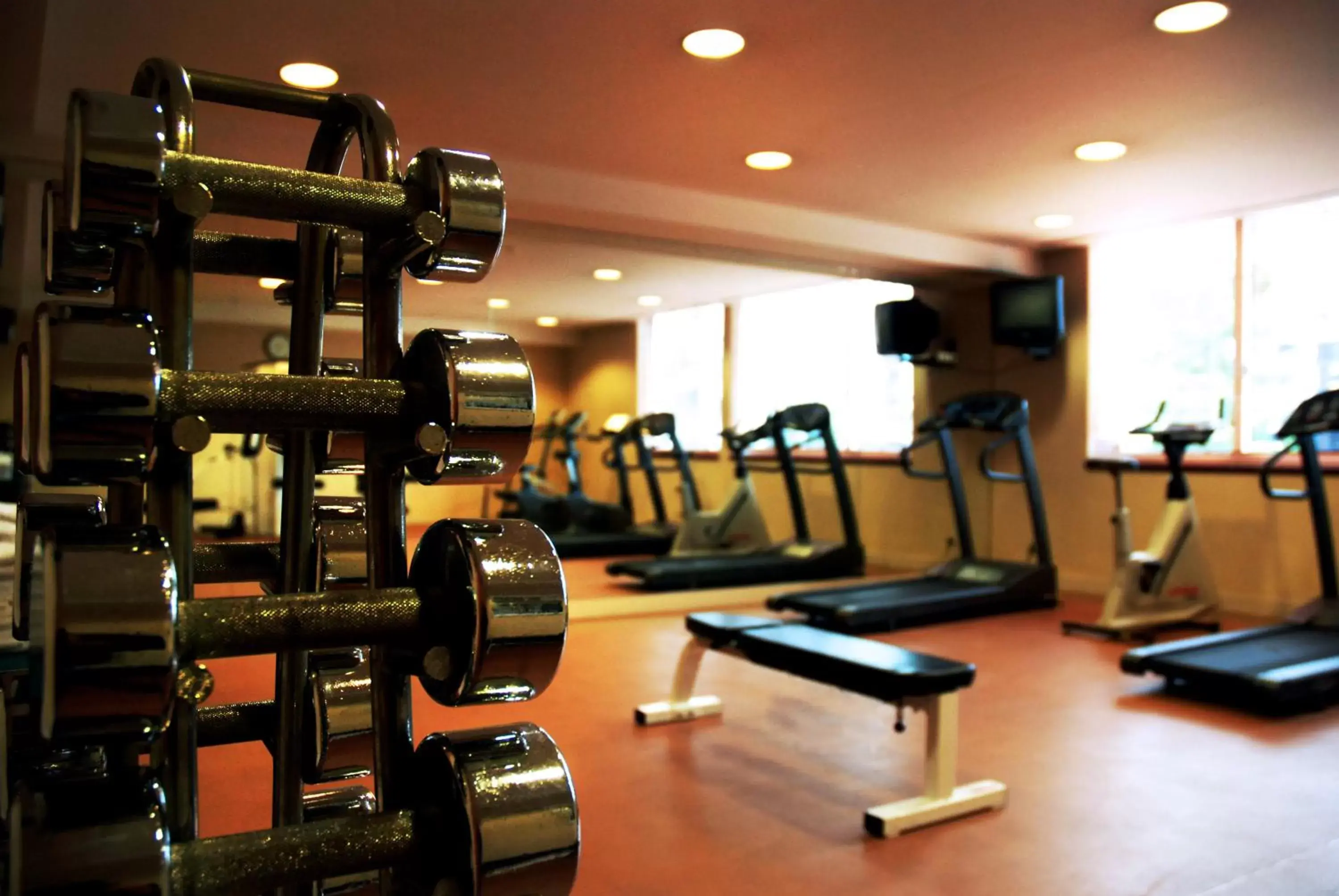 Fitness centre/facilities, Fitness Center/Facilities in Evergreen Laurel Hotel