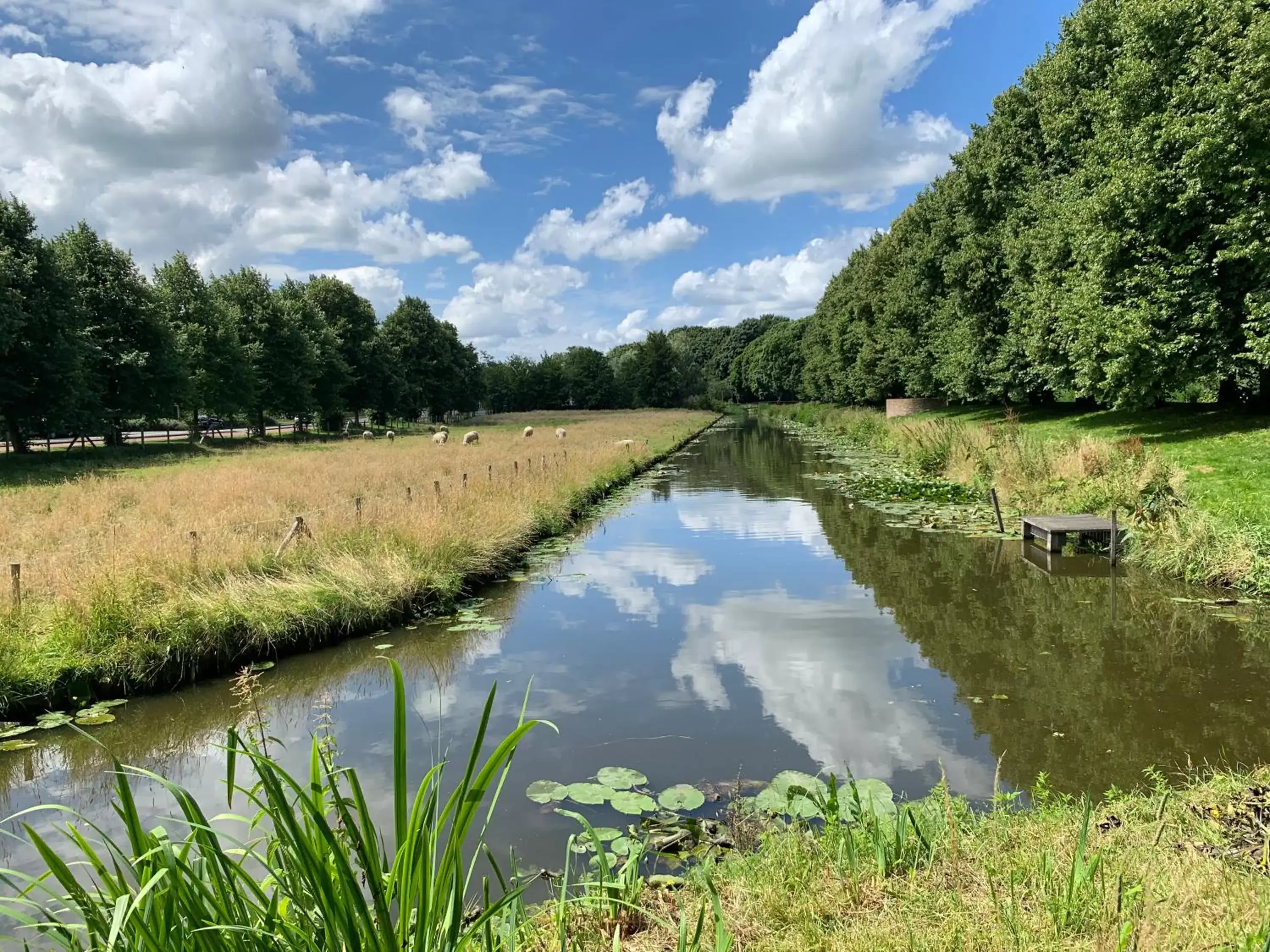 Lake View in Fortuna Spinoza