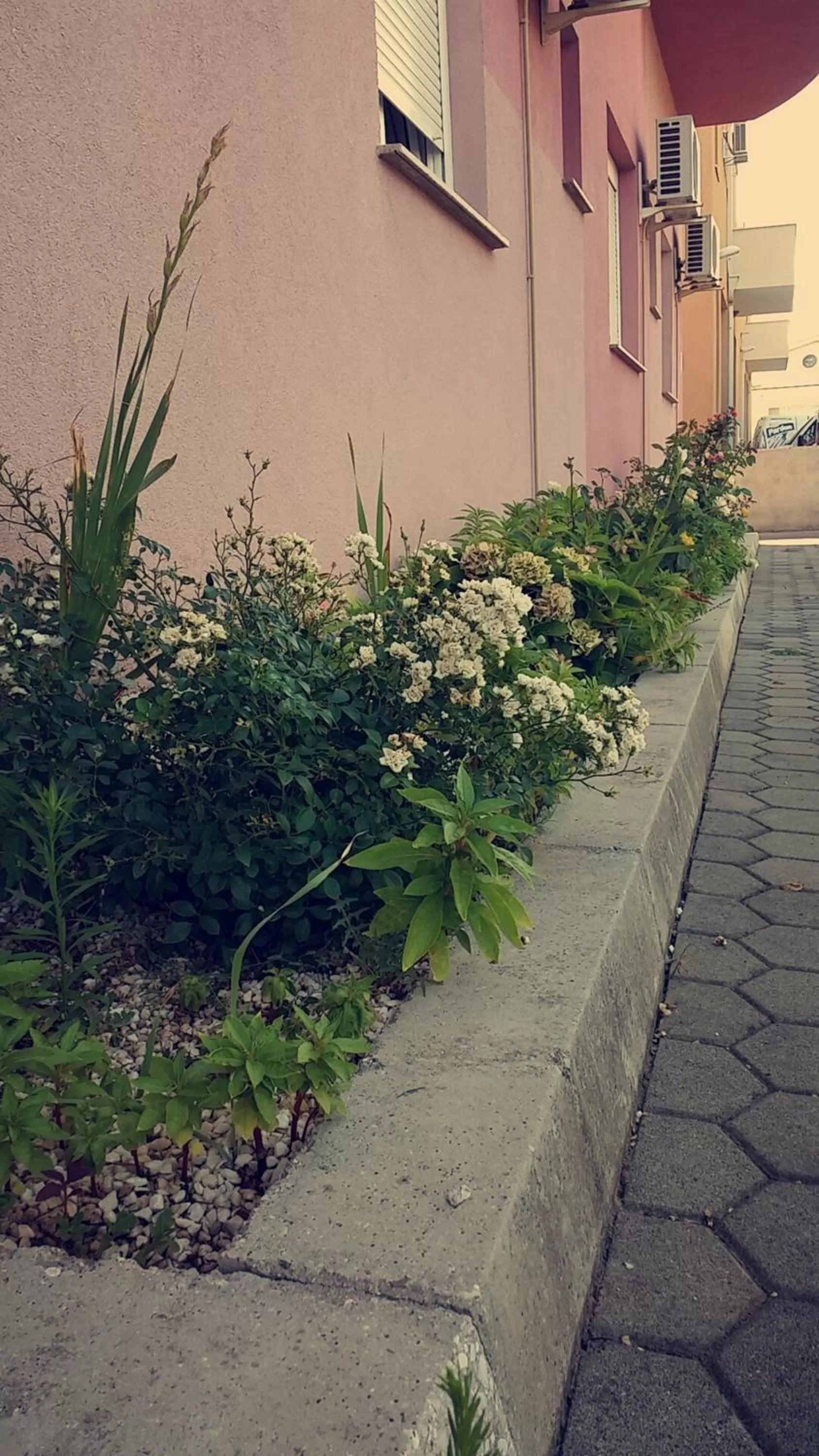 Property building in Motel Aura