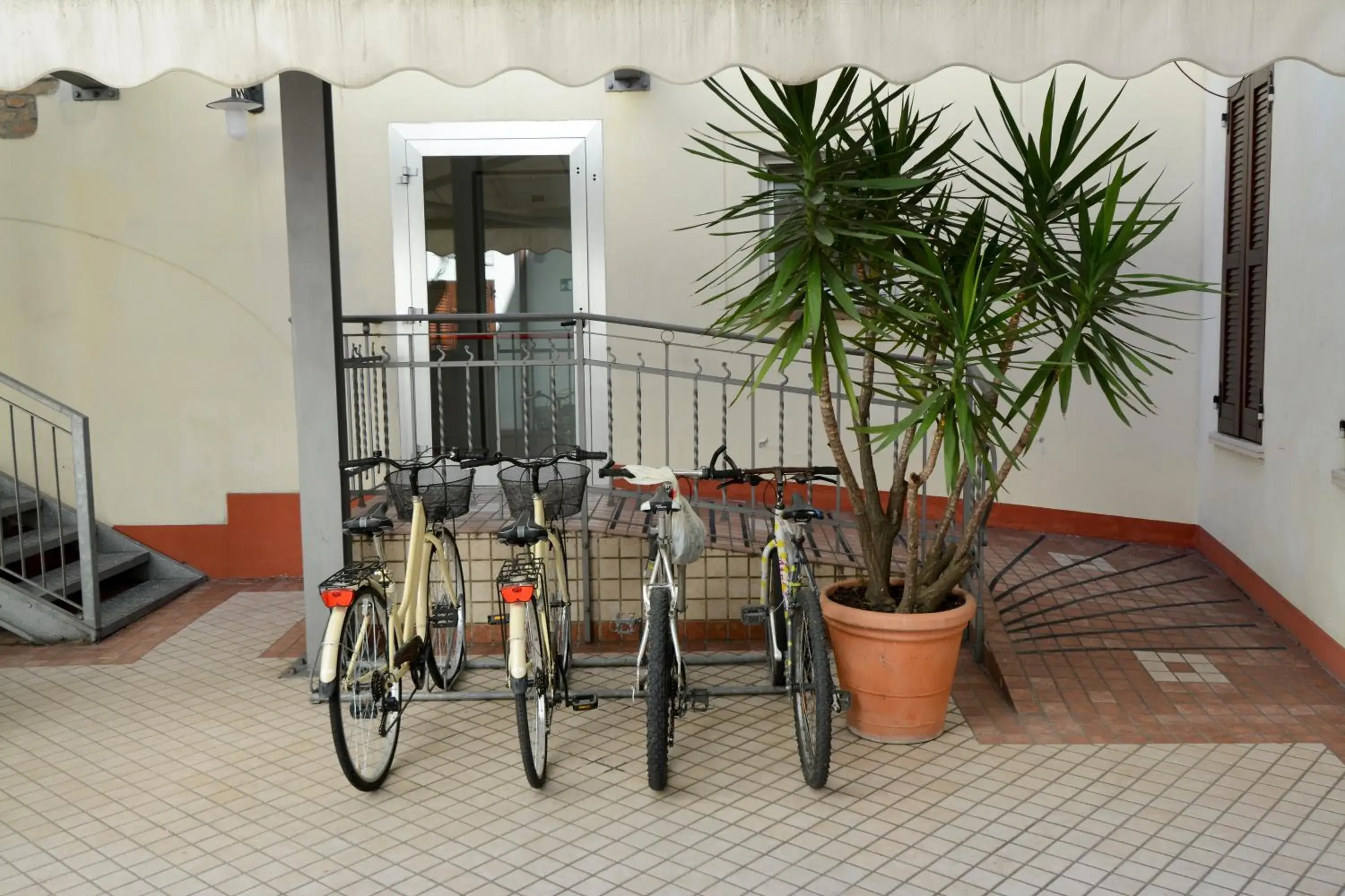 Area and facilities in Hotel Mantegna Stazione