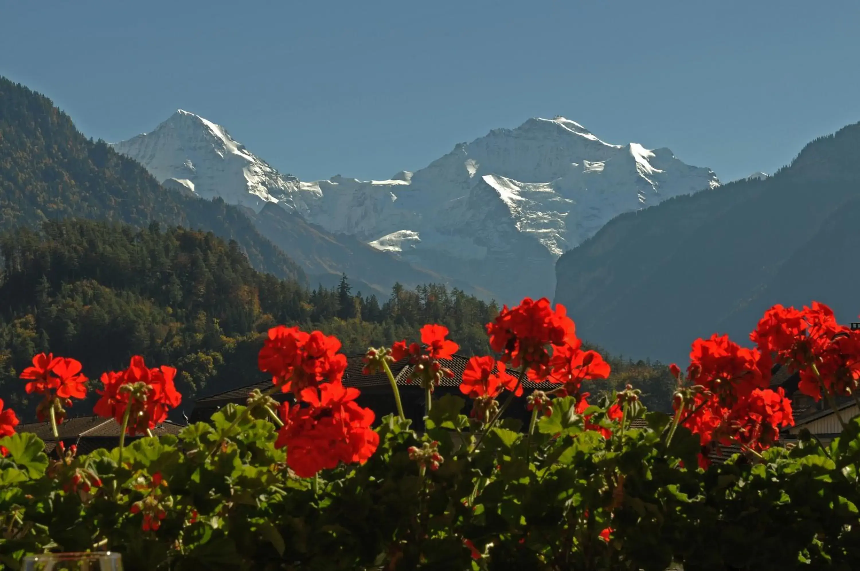 Mountain view in Post Hardermannli