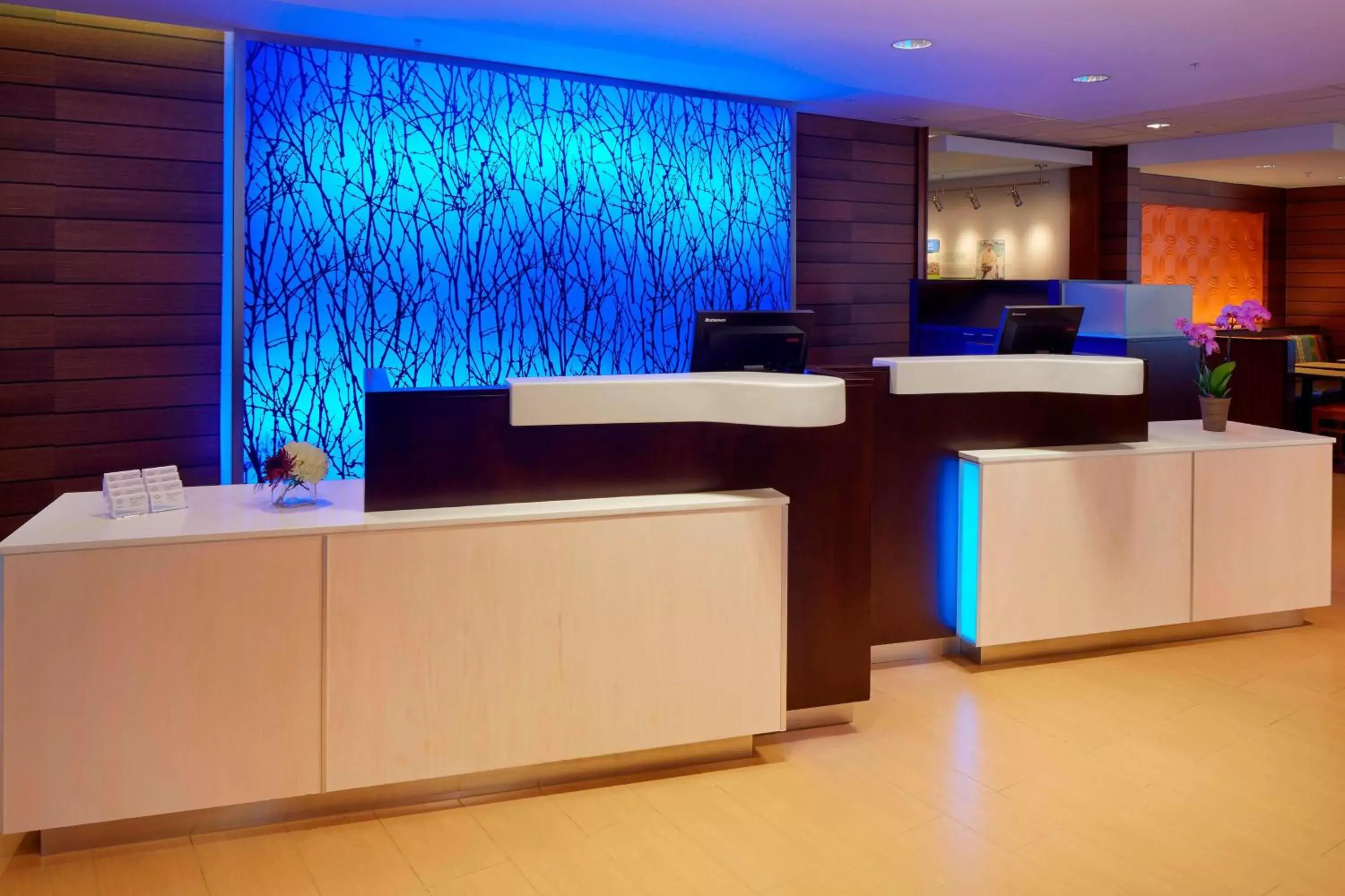 Lobby or reception in Fairfield Inn & Suites by Marriott Springfield Northampton/Amherst