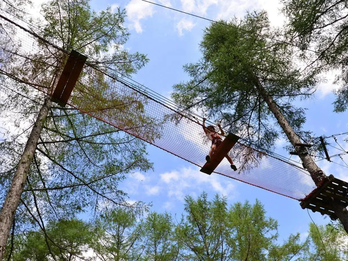 Natural landscape, Other Activities in Hotel Listel Inawashiro Wing Tower