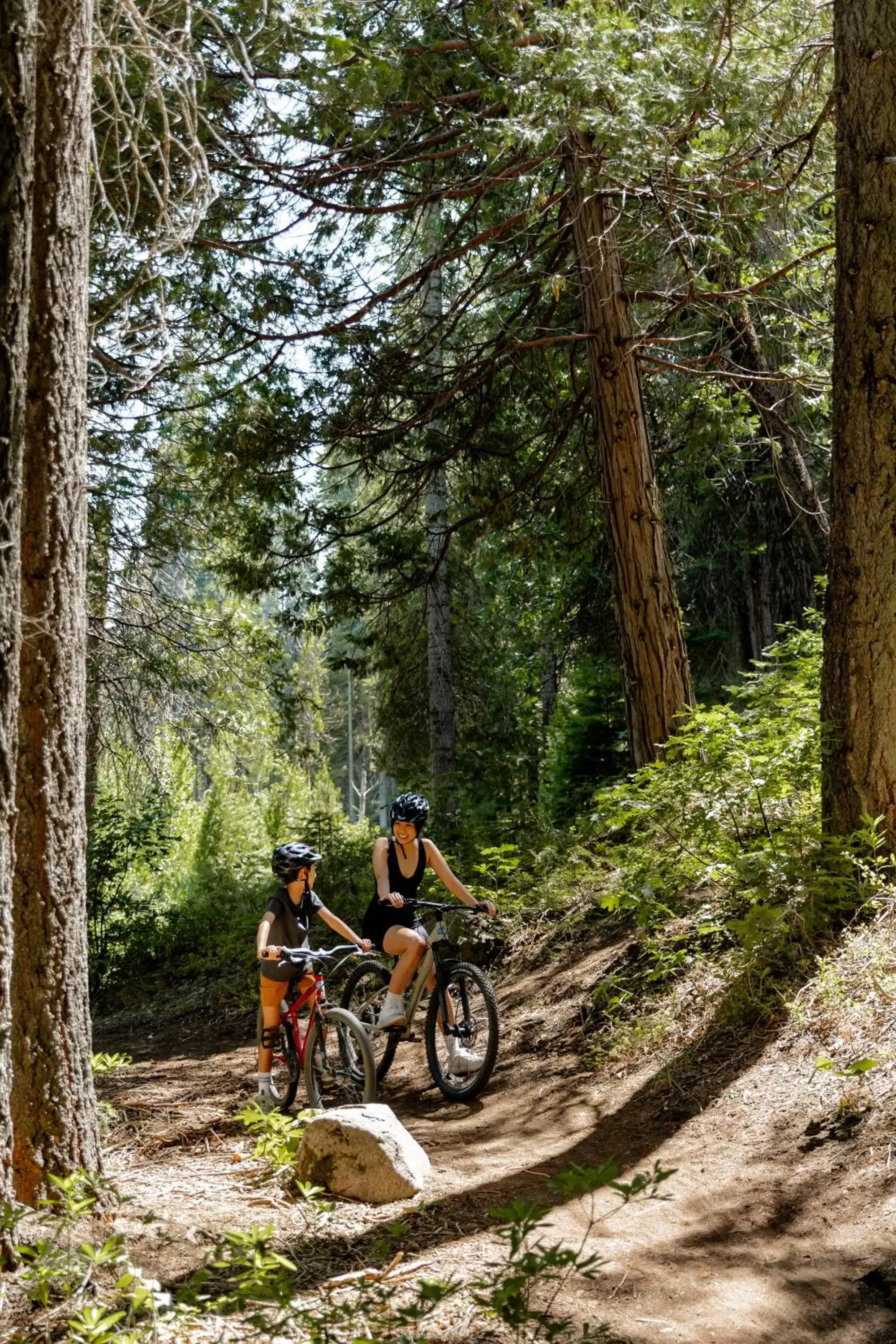 Activities, Biking in Tenaya at Yosemite